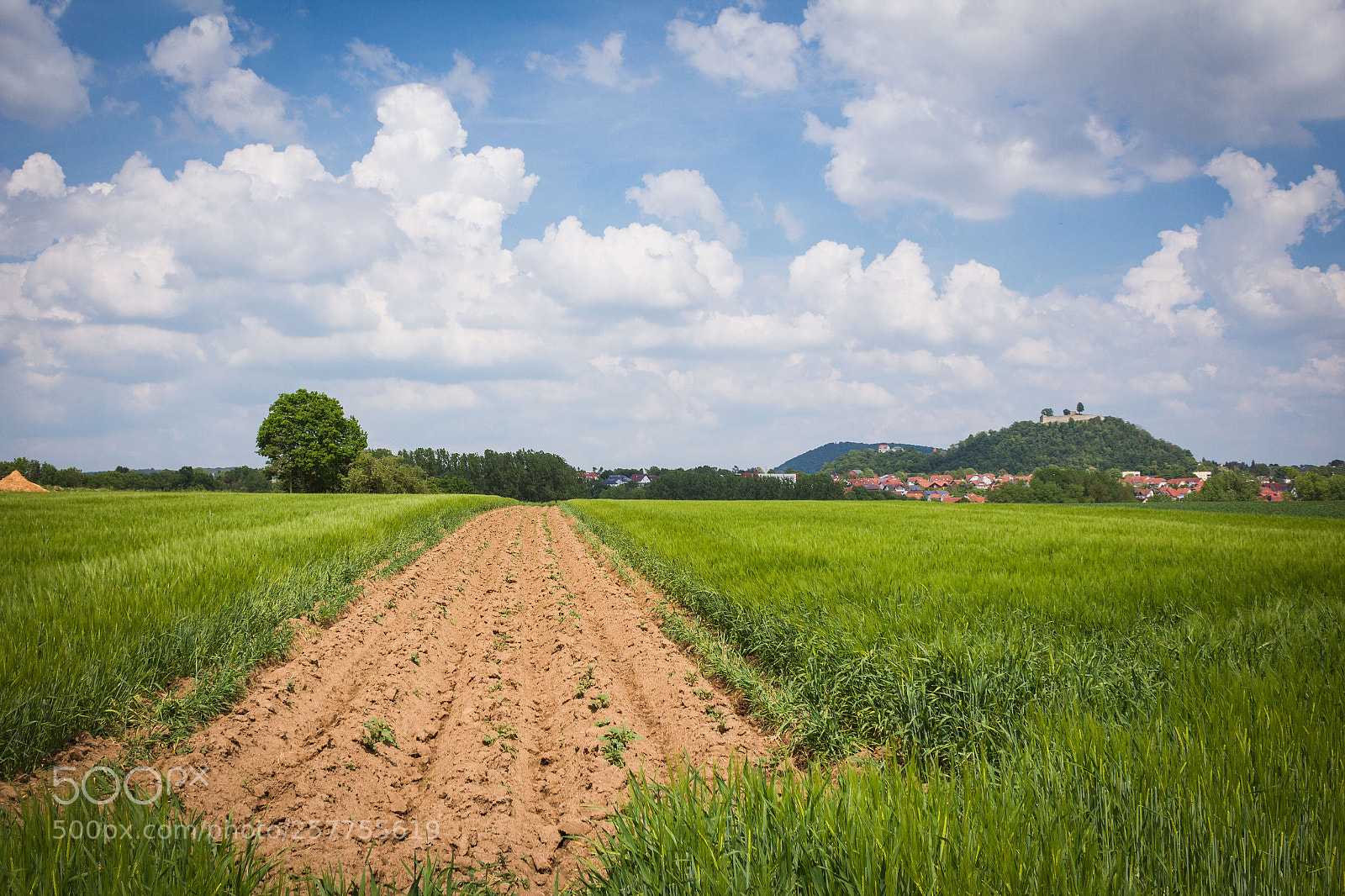 Canon EOS 600D (Rebel EOS T3i / EOS Kiss X5) sample photo. Gudensberg photography