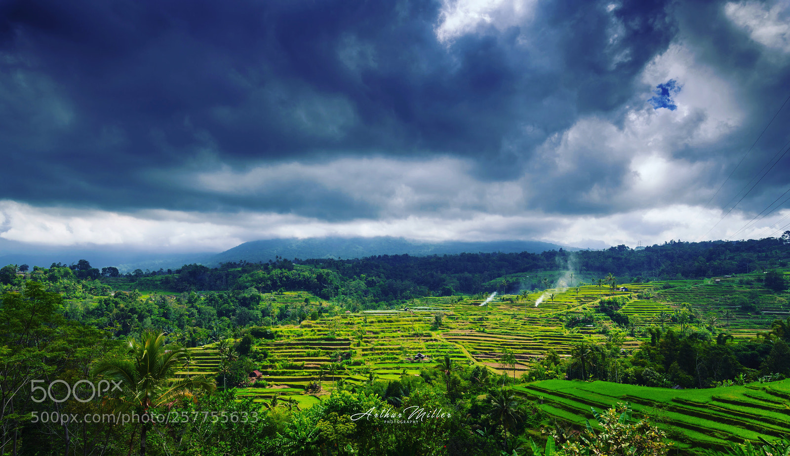 Nikon D850 sample photo. Rice terraces  photography