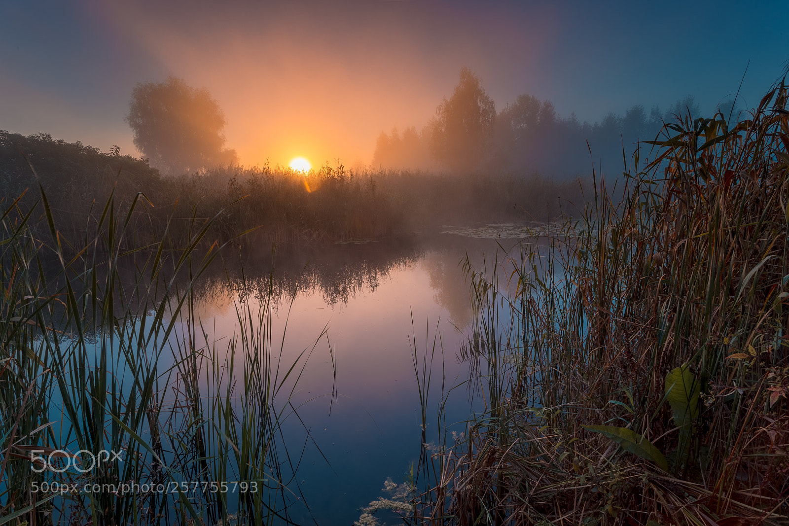 Canon EOS 6D sample photo. Foggy sunrise photography