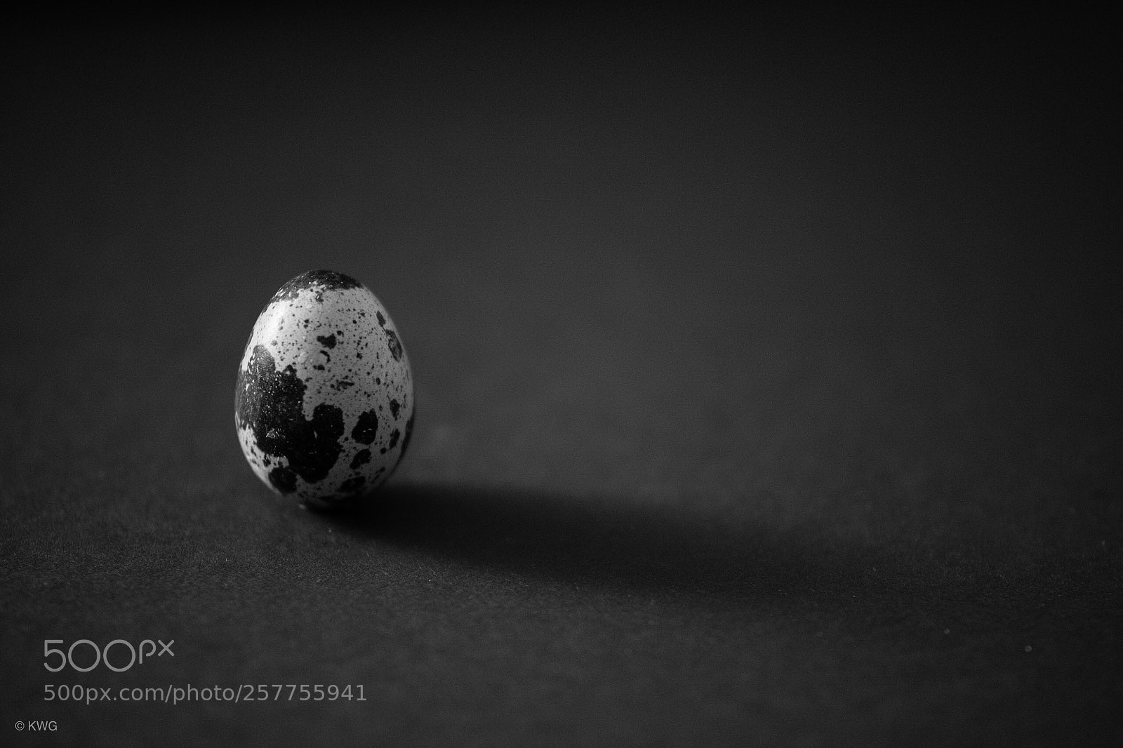 Nikon D7500 sample photo. Quails egg photography