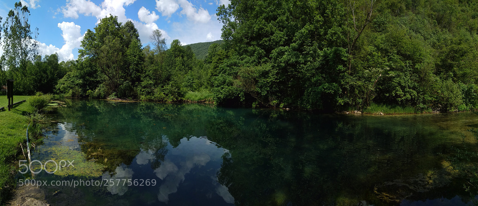 Xiaomi Mi A1 sample photo. Krupaj spring photography