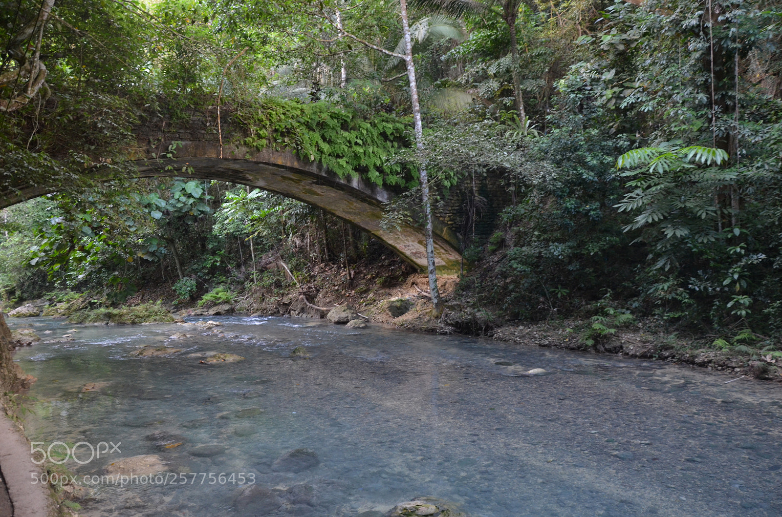 Nikon D5100 sample photo. Bridge photography