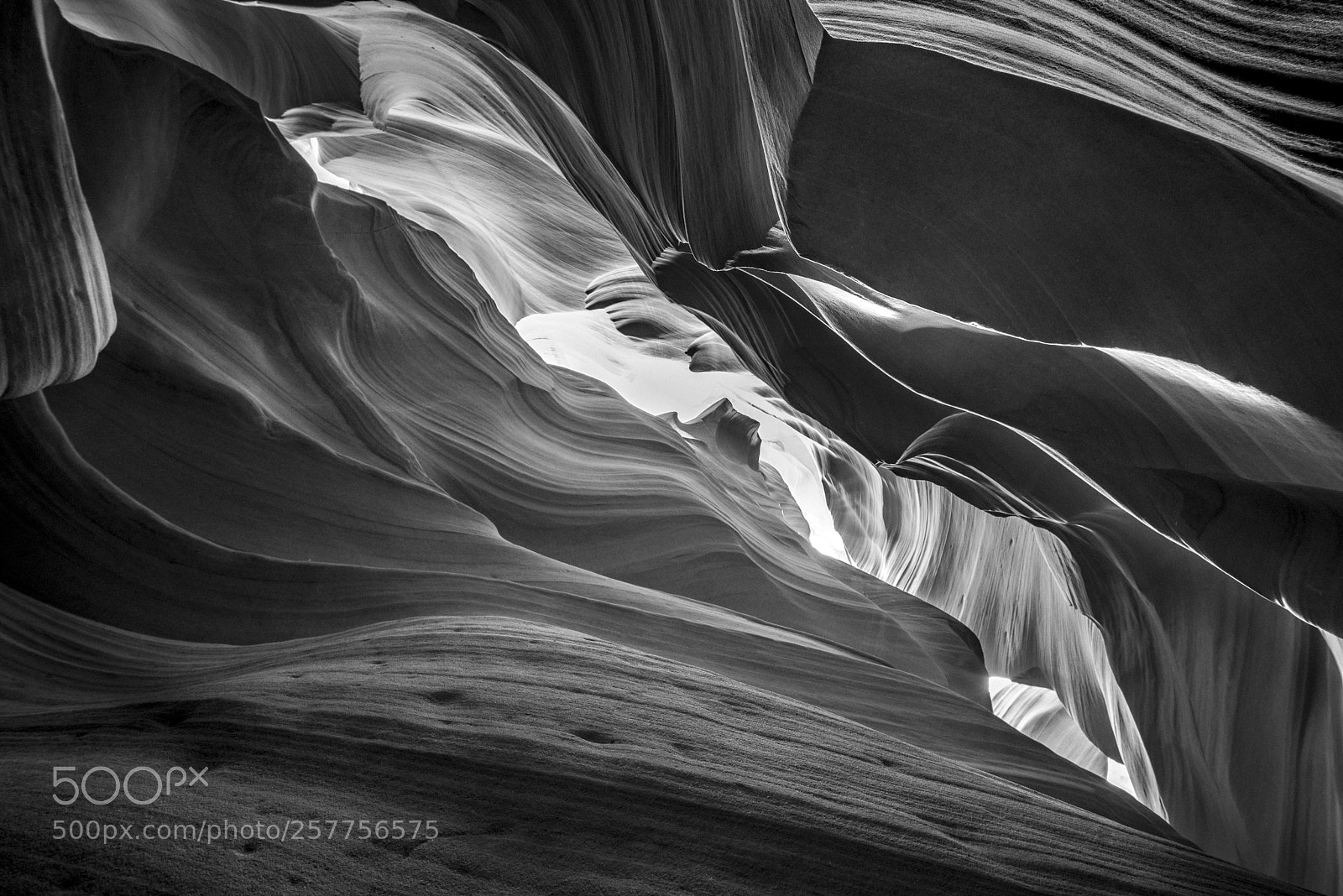 Nikon D750 sample photo. ~~ abstract of nature ~~ photography