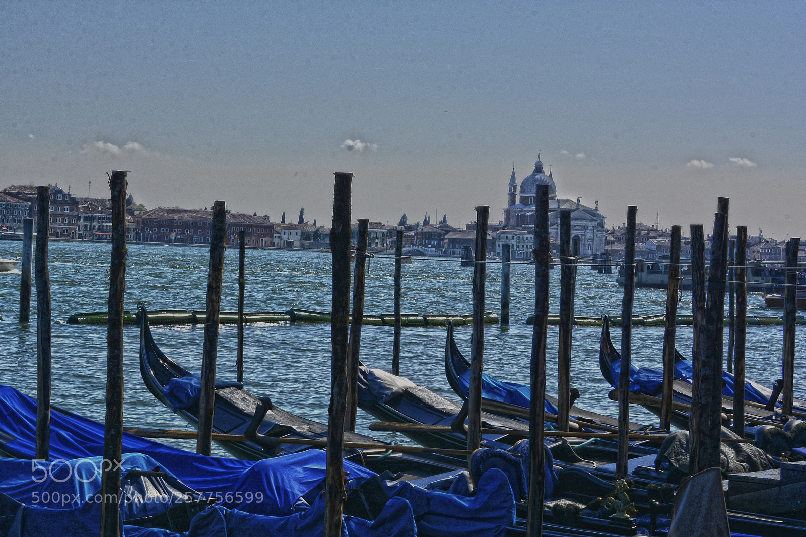 Nikon D7100 sample photo. Jpg jpg photography