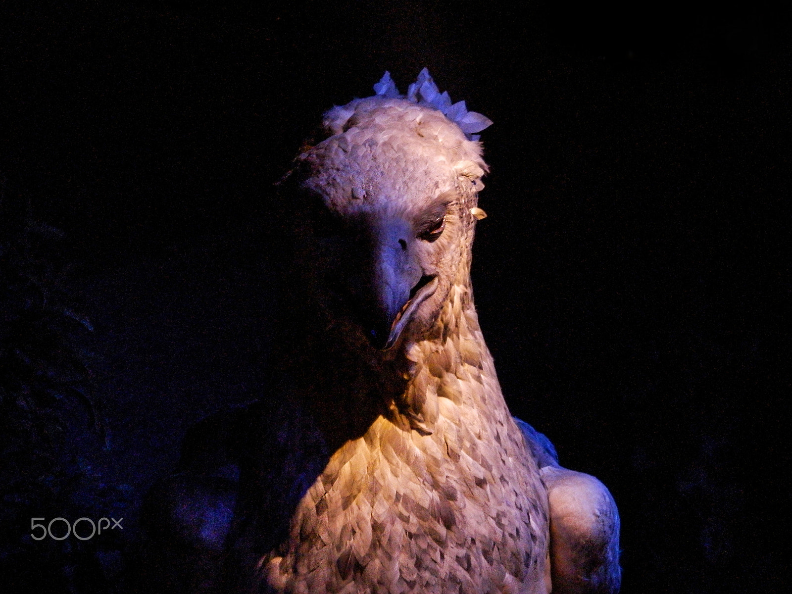 Olympus SP-620UZ sample photo. The hippogriff buckbeak photography
