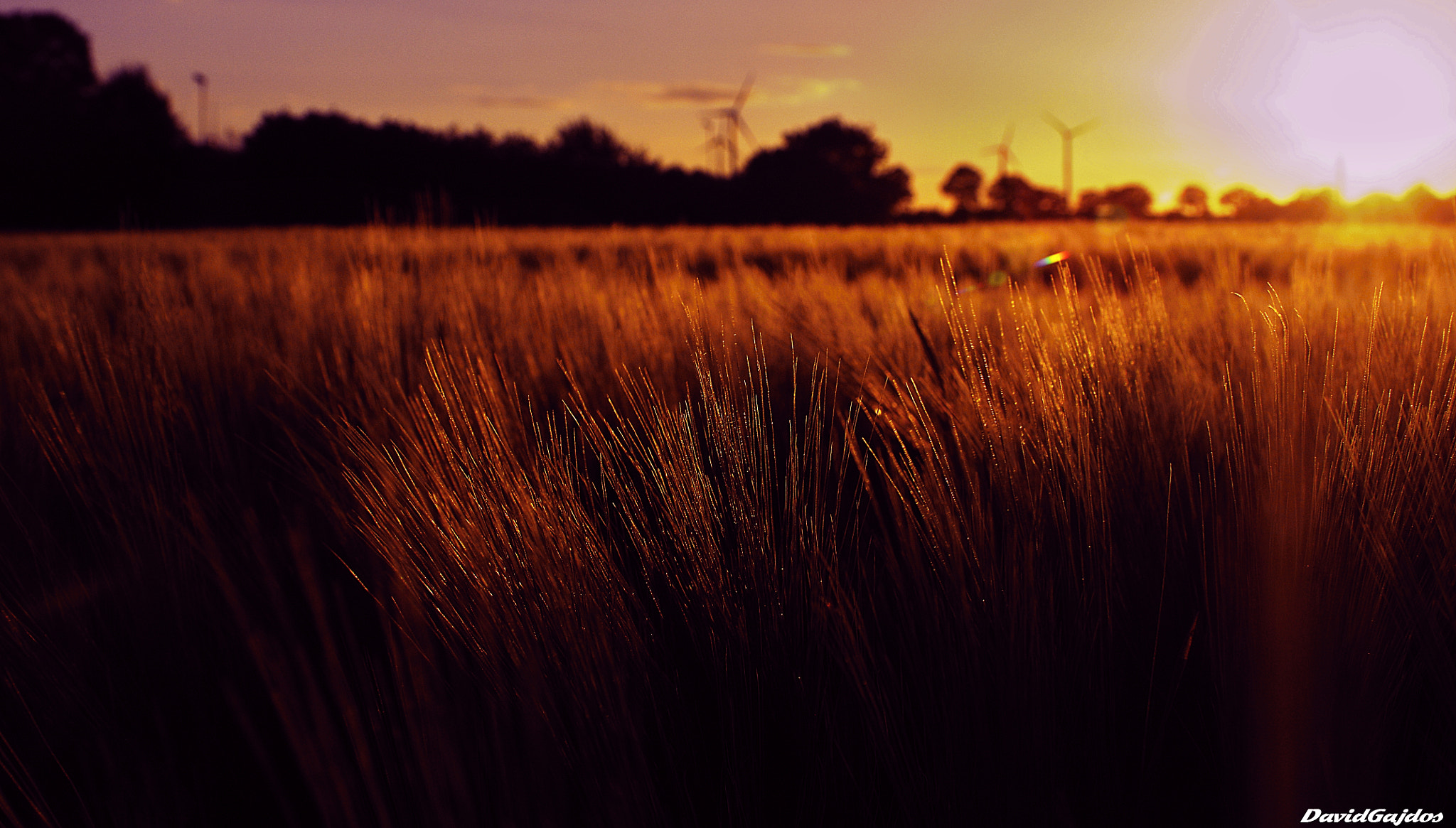 Nikon D2Xs + Sigma 28-70mm F2.8 sample photo. Spring photography