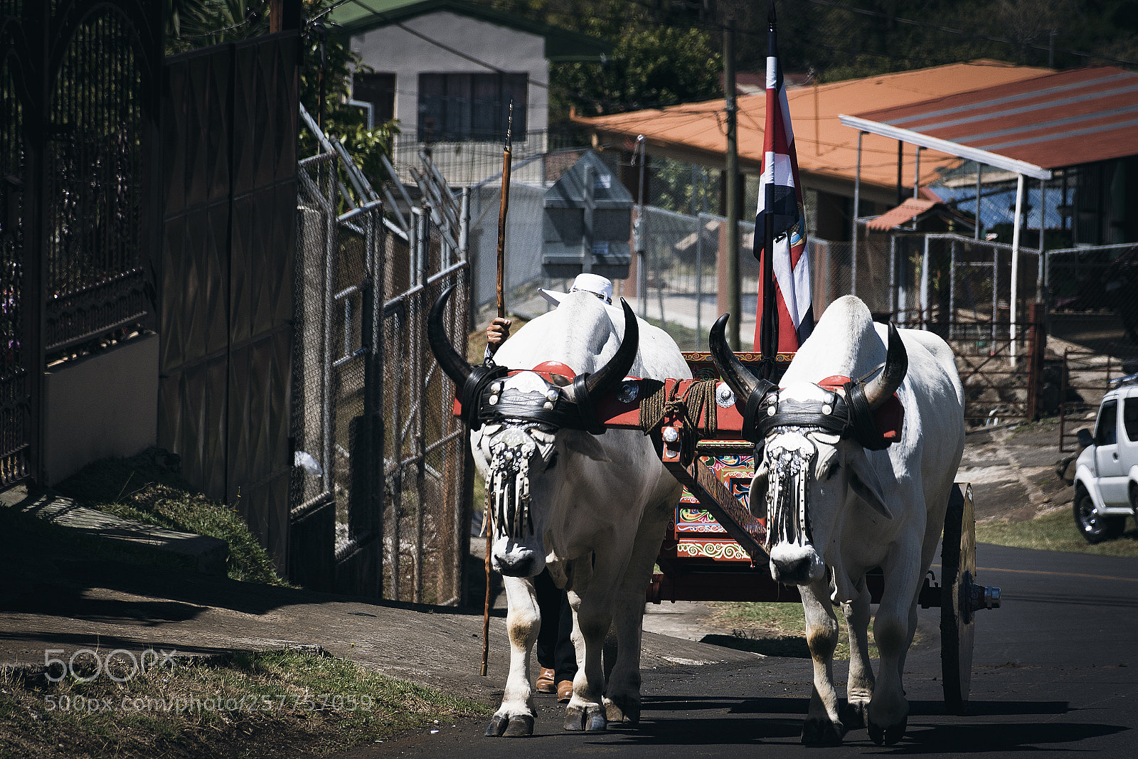 Nikon D3400 sample photo. Costa rica oxcart photography