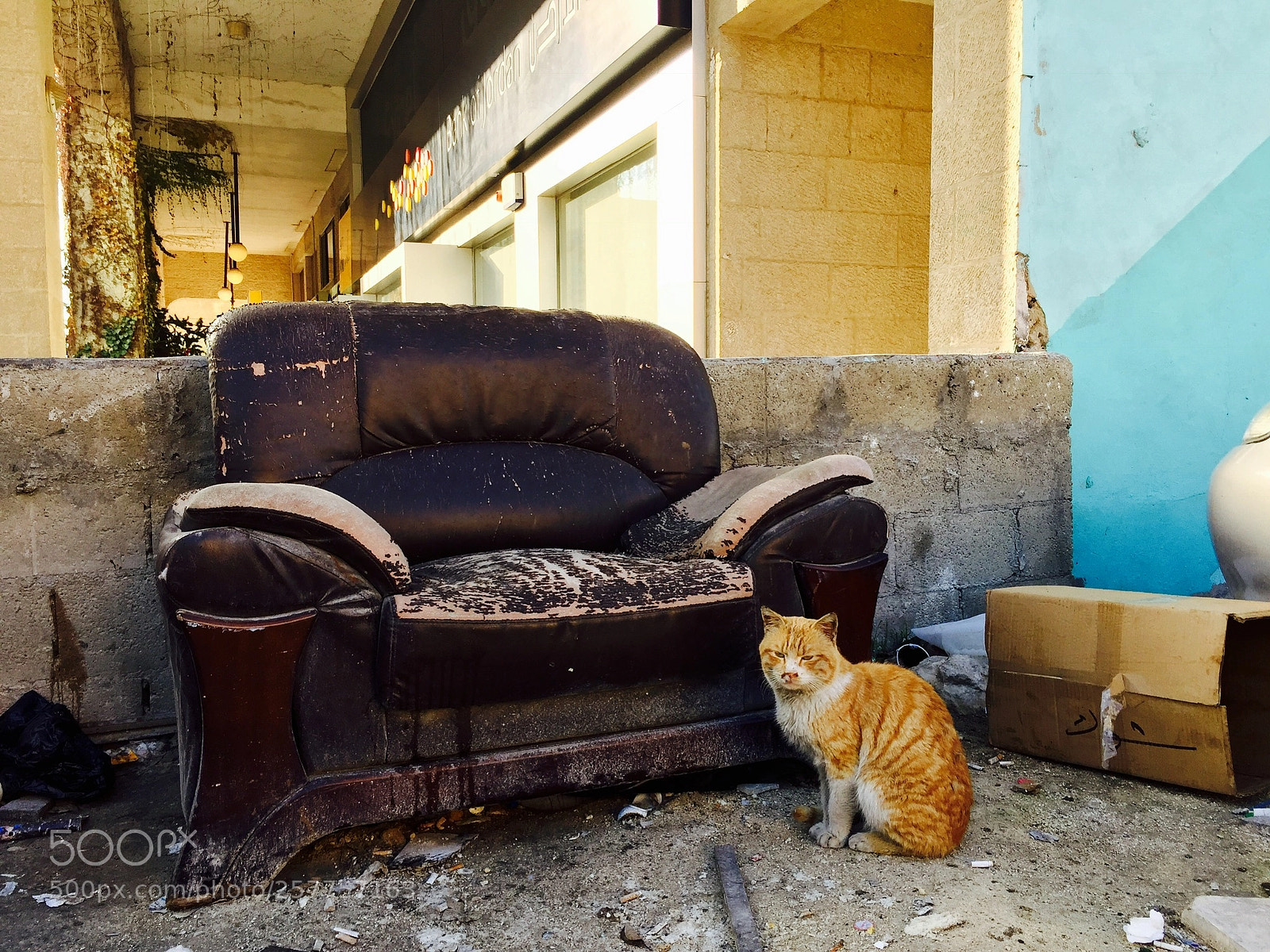 Apple iPhone 6 sample photo. Ph amman photography