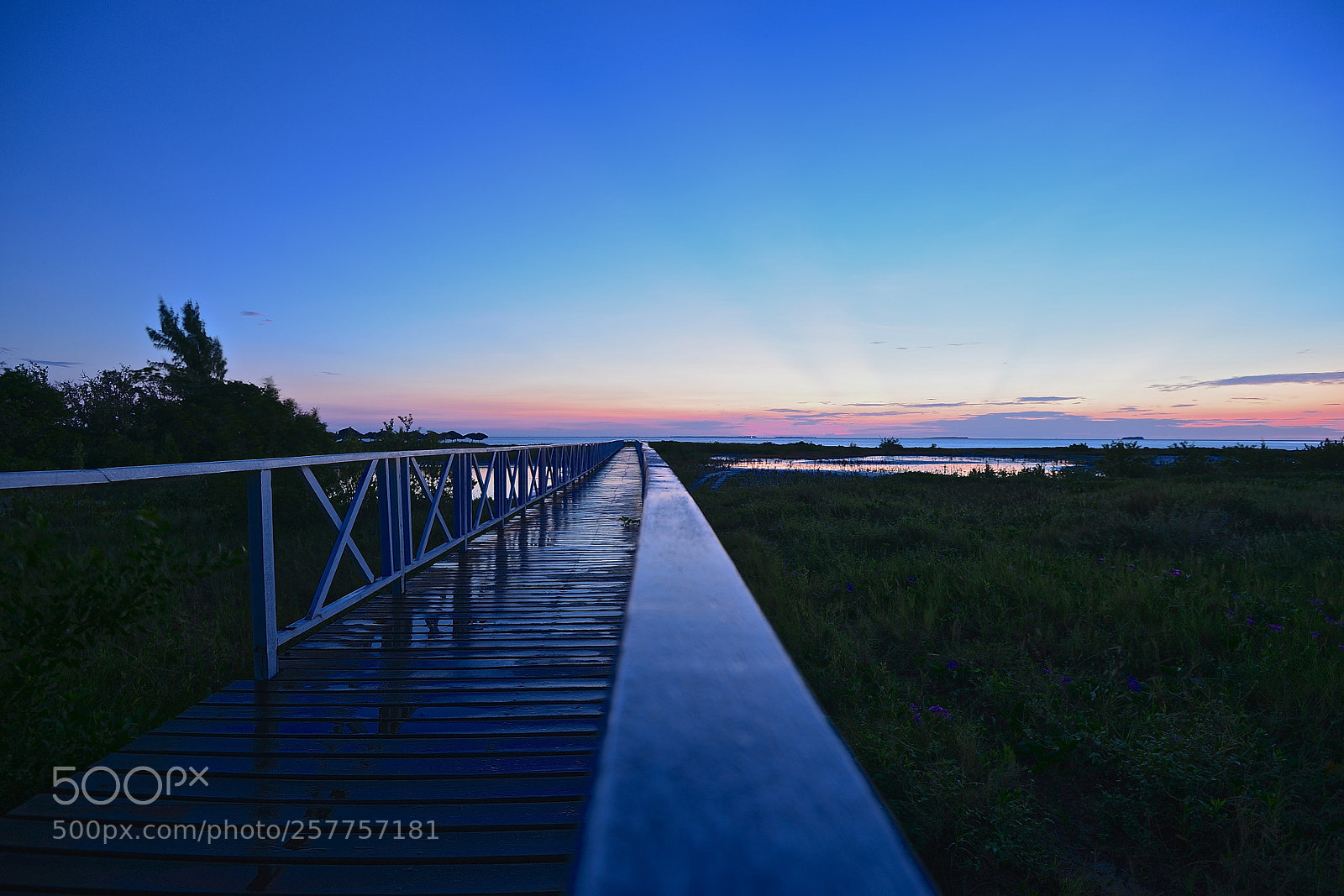 Nikon D600 sample photo. Ph varadero photography