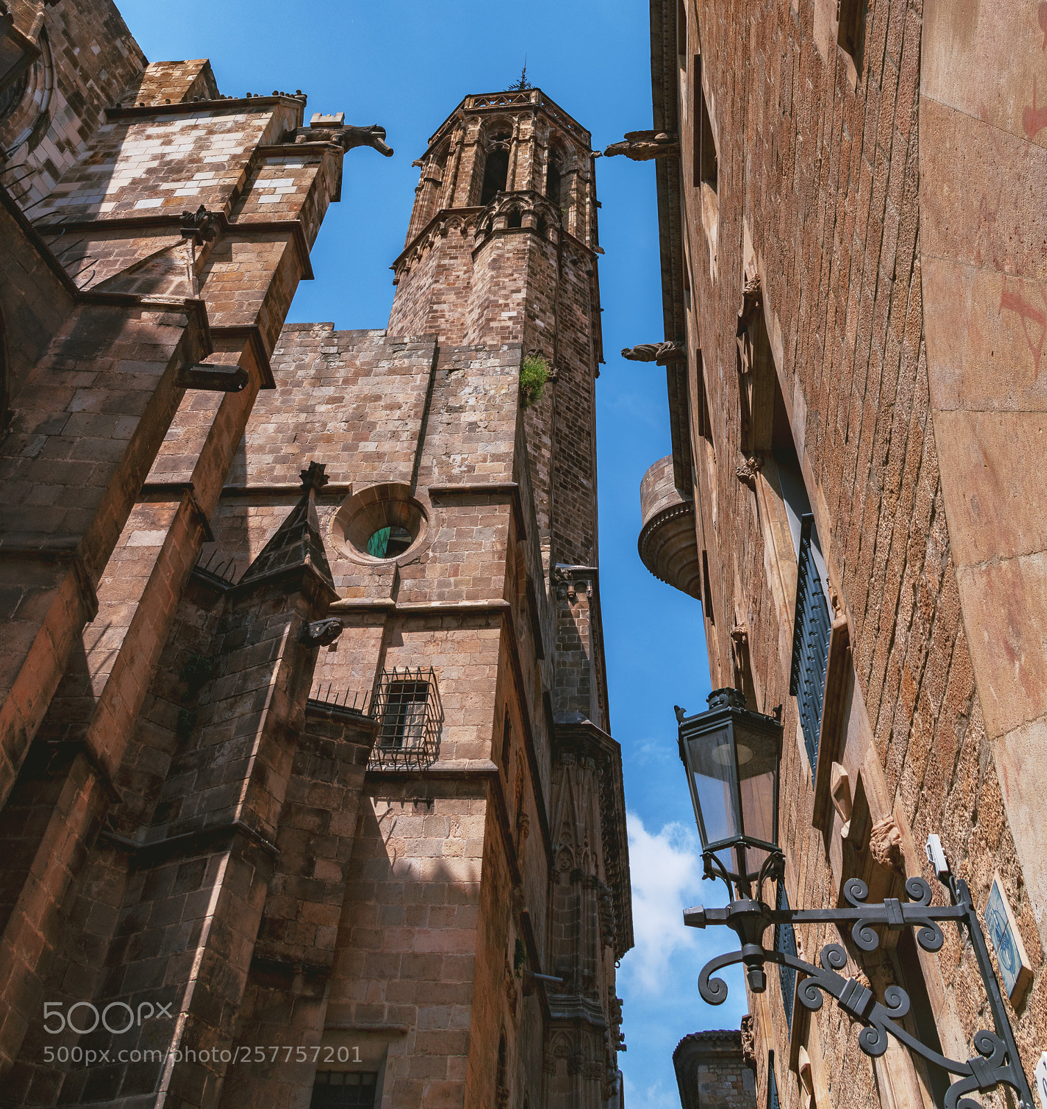 Nikon D850 sample photo. Cathedral of barcelona photography