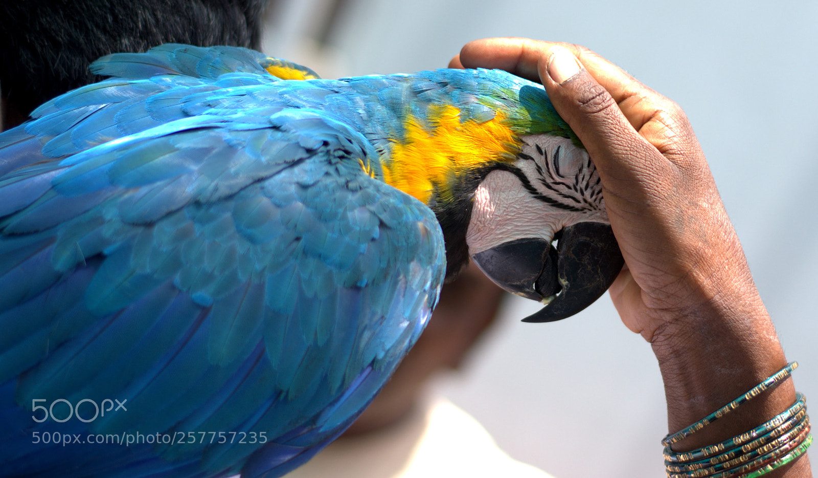 Nikon D3100 sample photo. Untitled photography