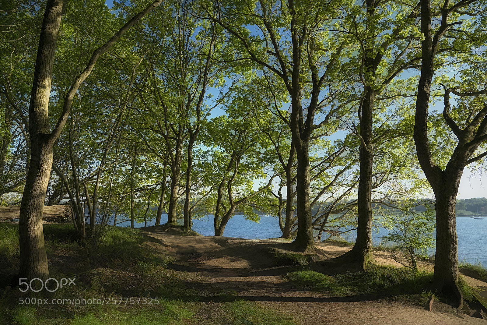 Sony a7R II sample photo. Riverside photography