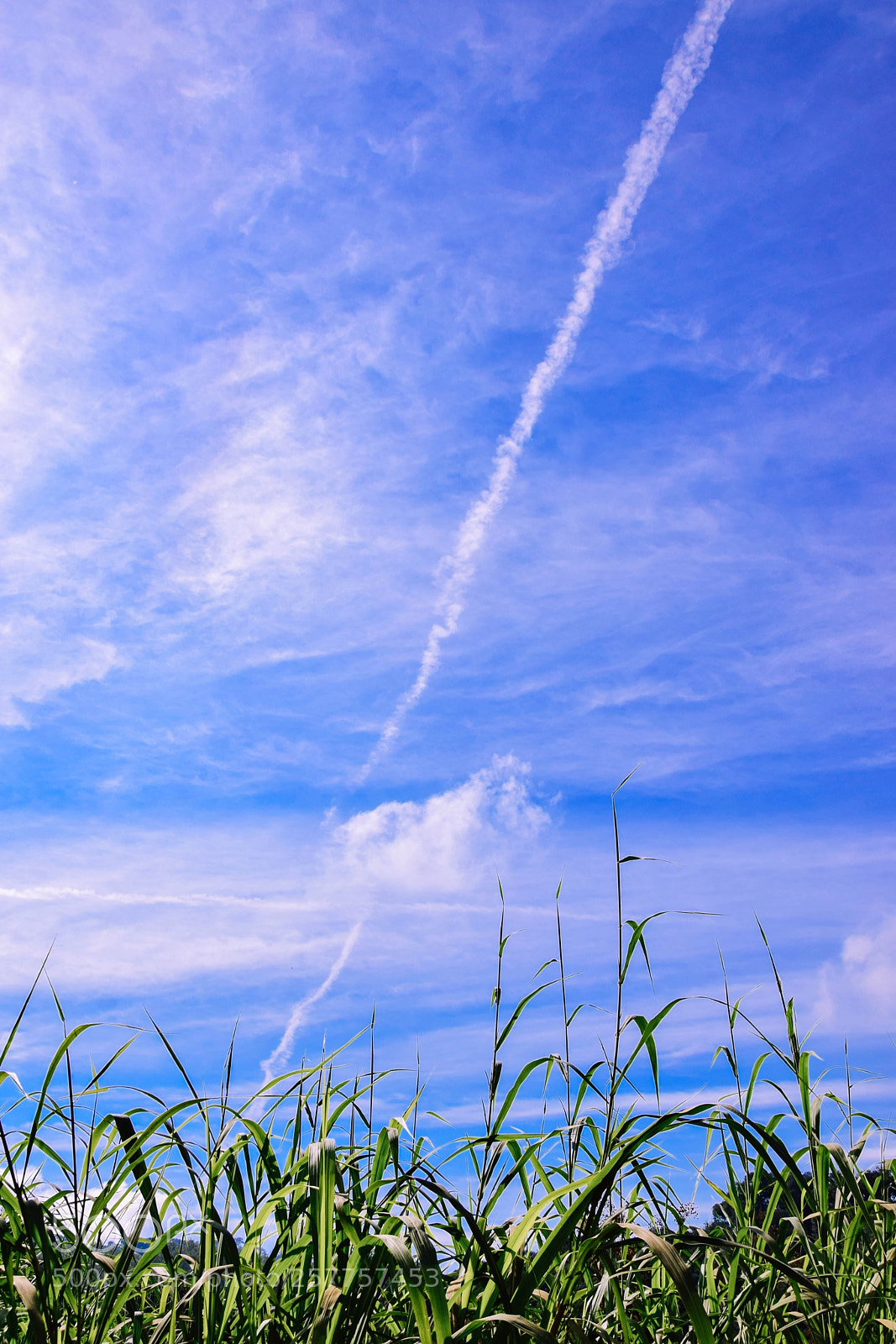 Nikon D5300 sample photo. Wide world photography