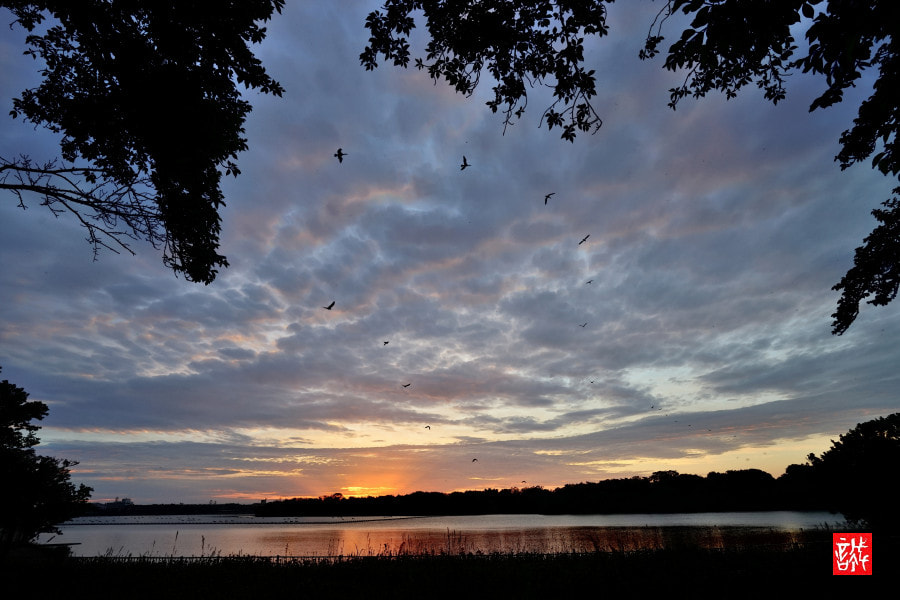 ZEISS Batis 18mm F2.8 sample photo. Morning glow 0513 photography