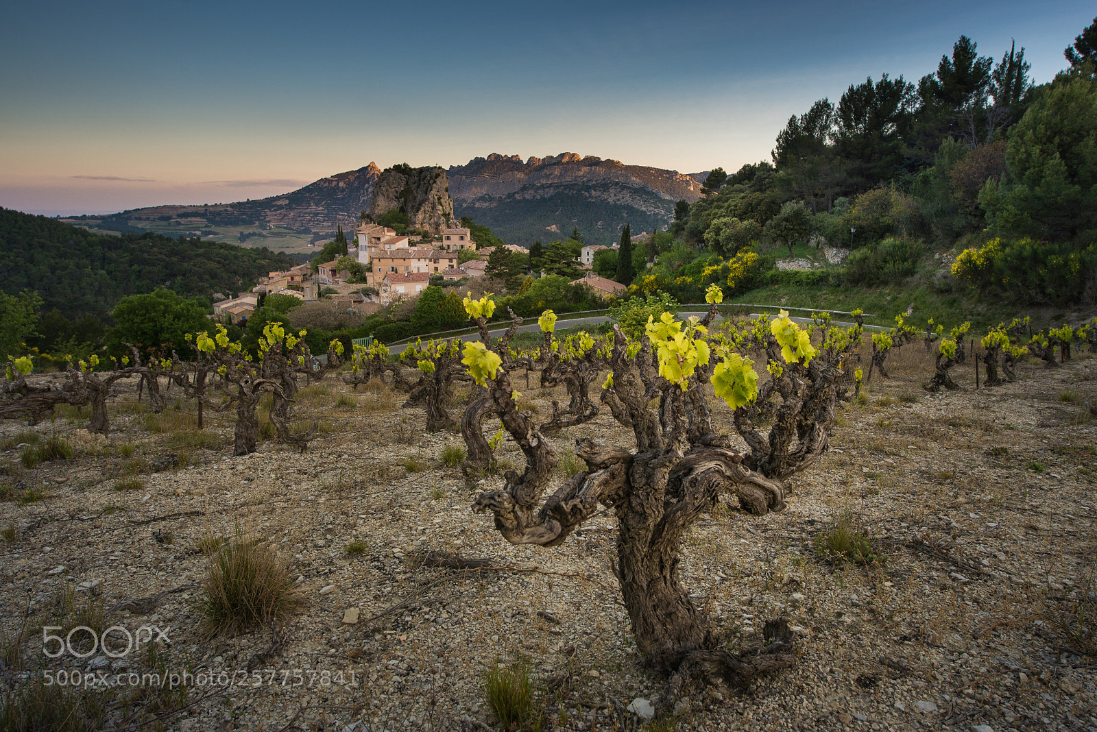 Nikon D600 sample photo. La roque-alric photography