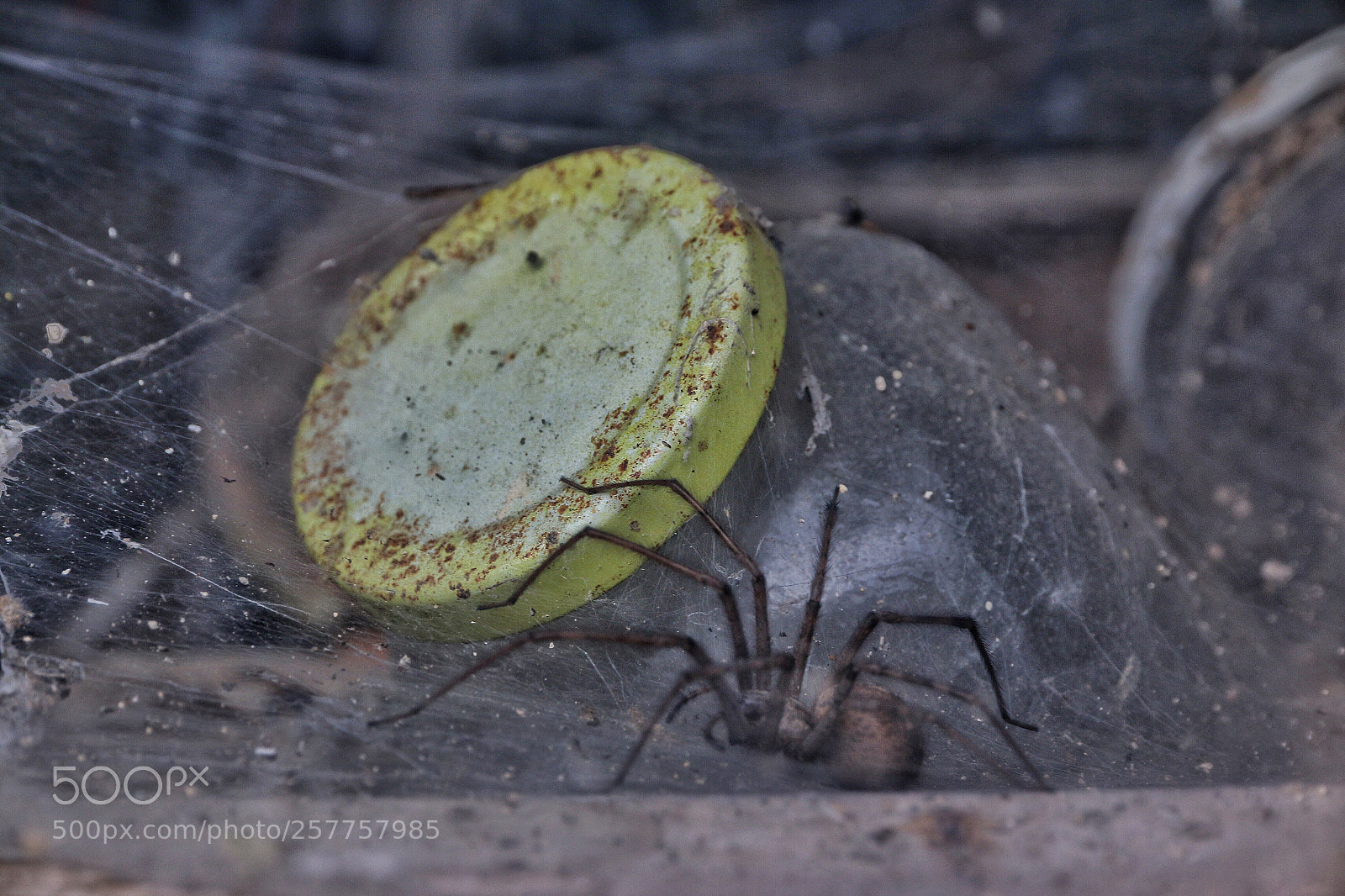 Canon EOS 70D sample photo. Untitled photography