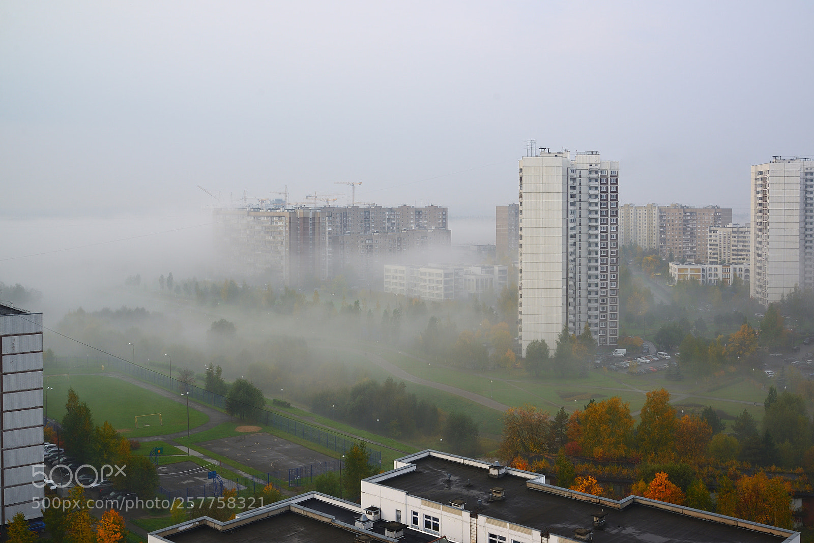 Nikon D600 sample photo. Autumn city landscape with photography
