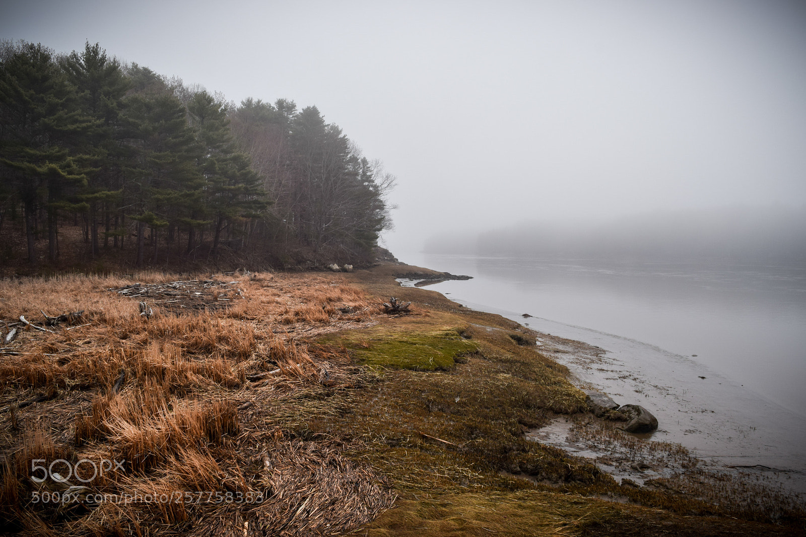 Nikon D3300 sample photo. Bath, maine photography