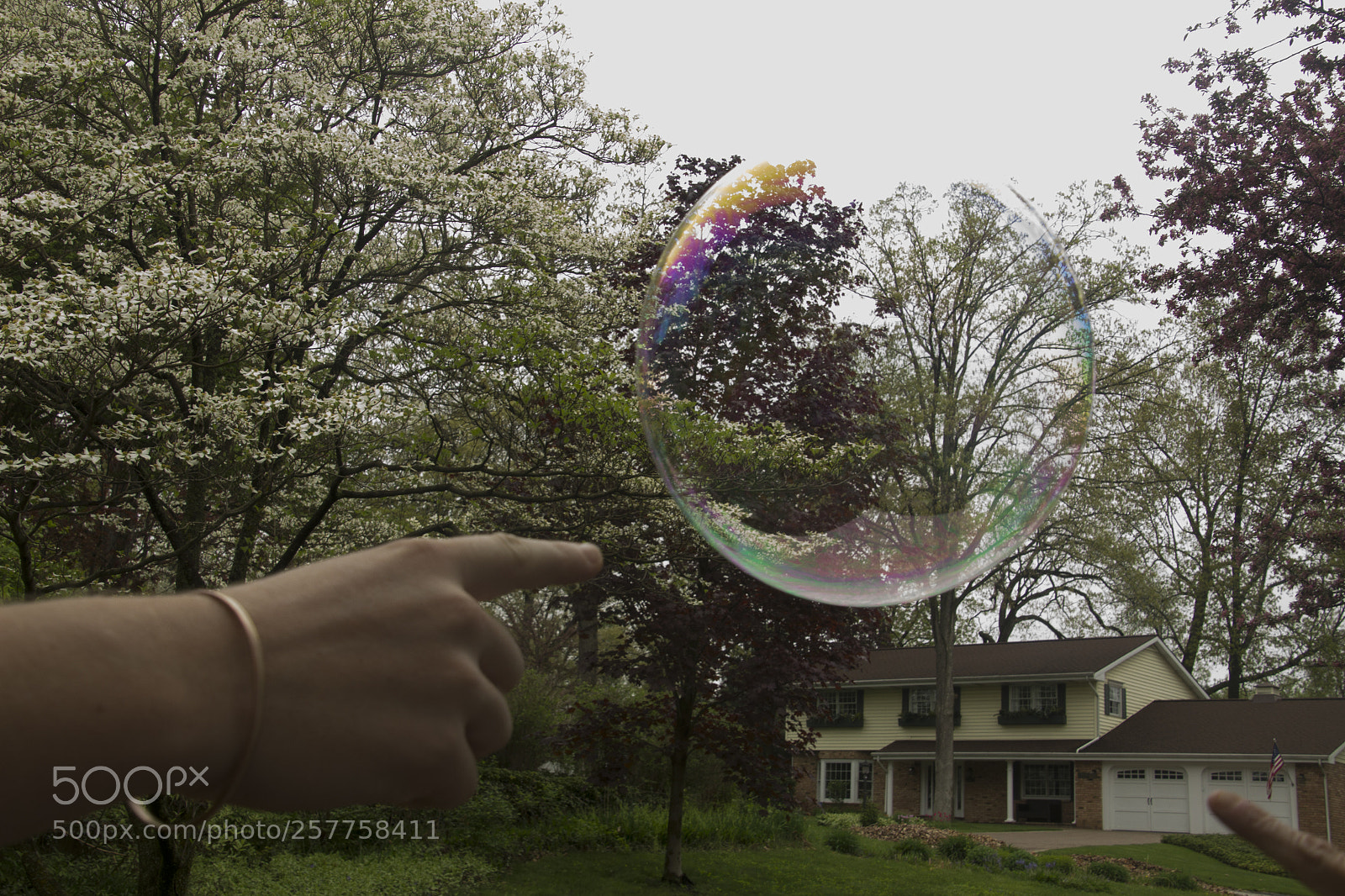 Canon EOS 1200D (EOS Rebel T5 / EOS Kiss X70 / EOS Hi) sample photo. Look at the bubble photography