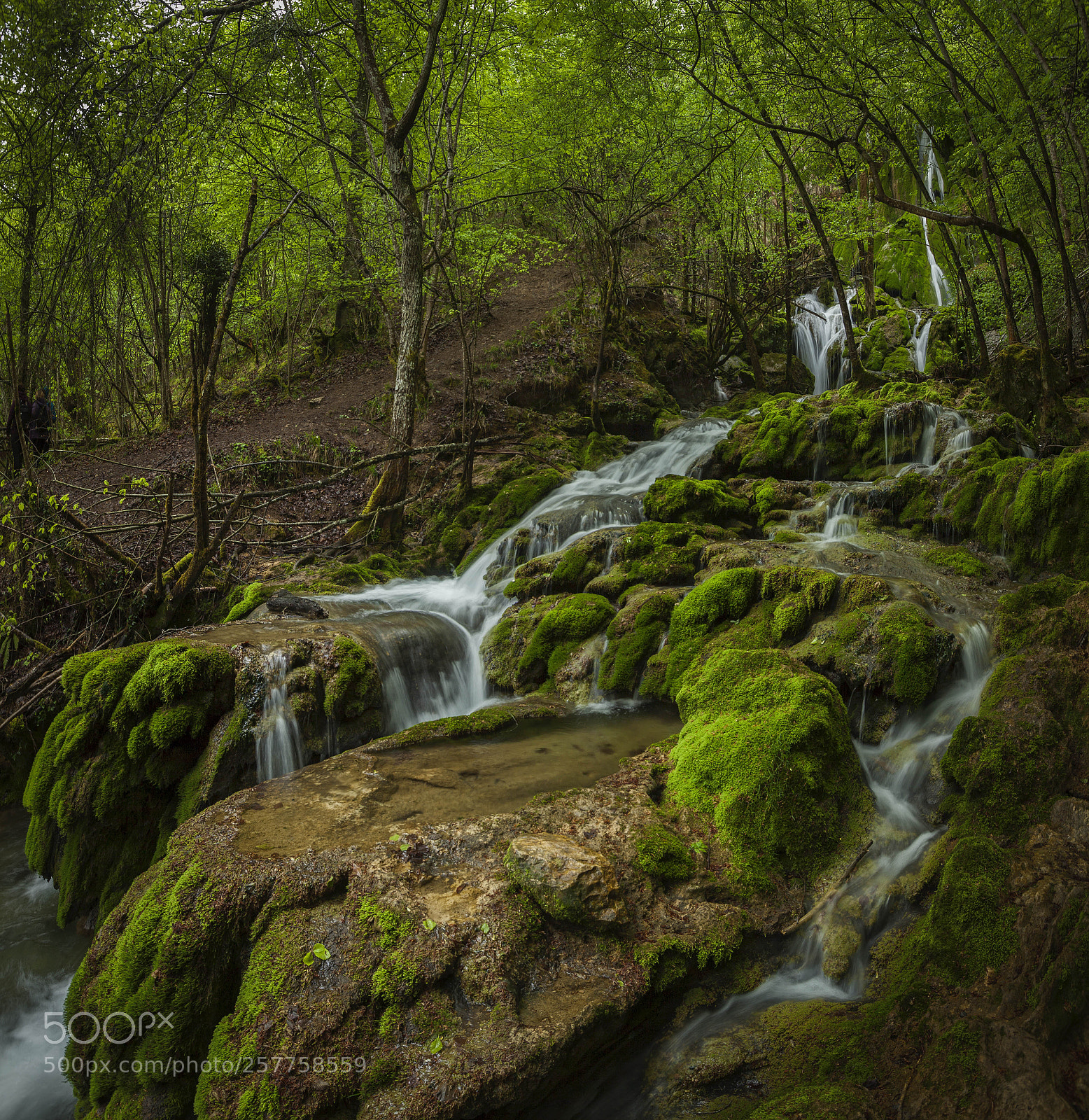 Canon EOS 5D Mark II sample photo. Waterfall v photography