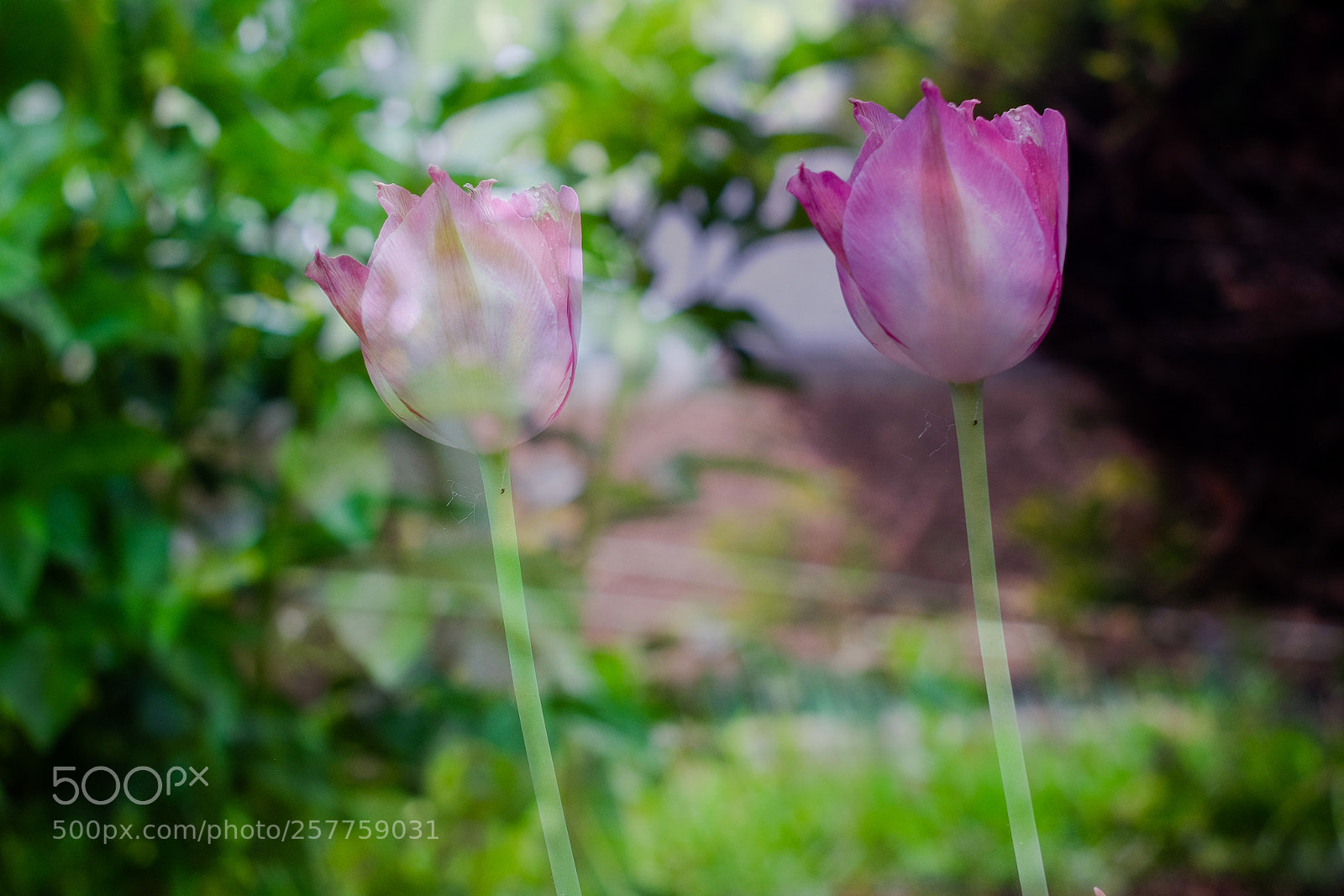 Fujifilm X-T1 sample photo. There was a lonely photography