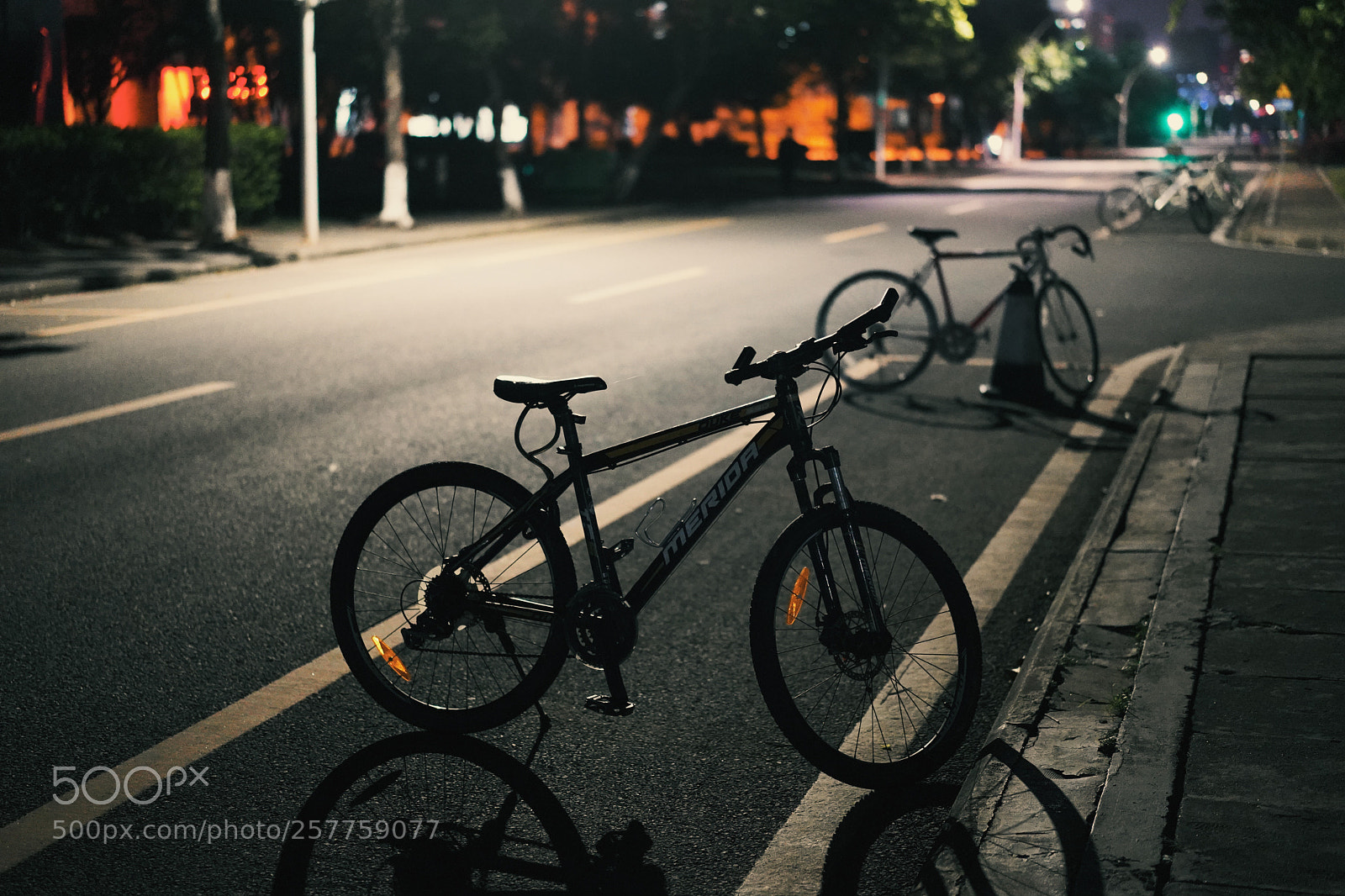 Sony a7 III sample photo. Untitled photography