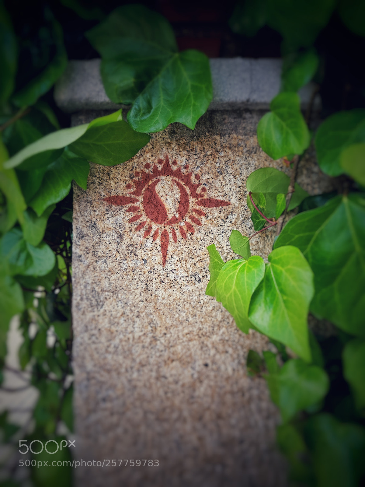 Samsung Galaxy S7 Edge sample photo. Street art photography