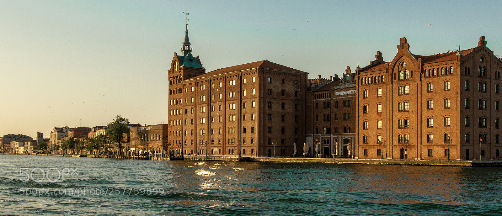 Nikon D7200 sample photo. The hilton molino stucky photography