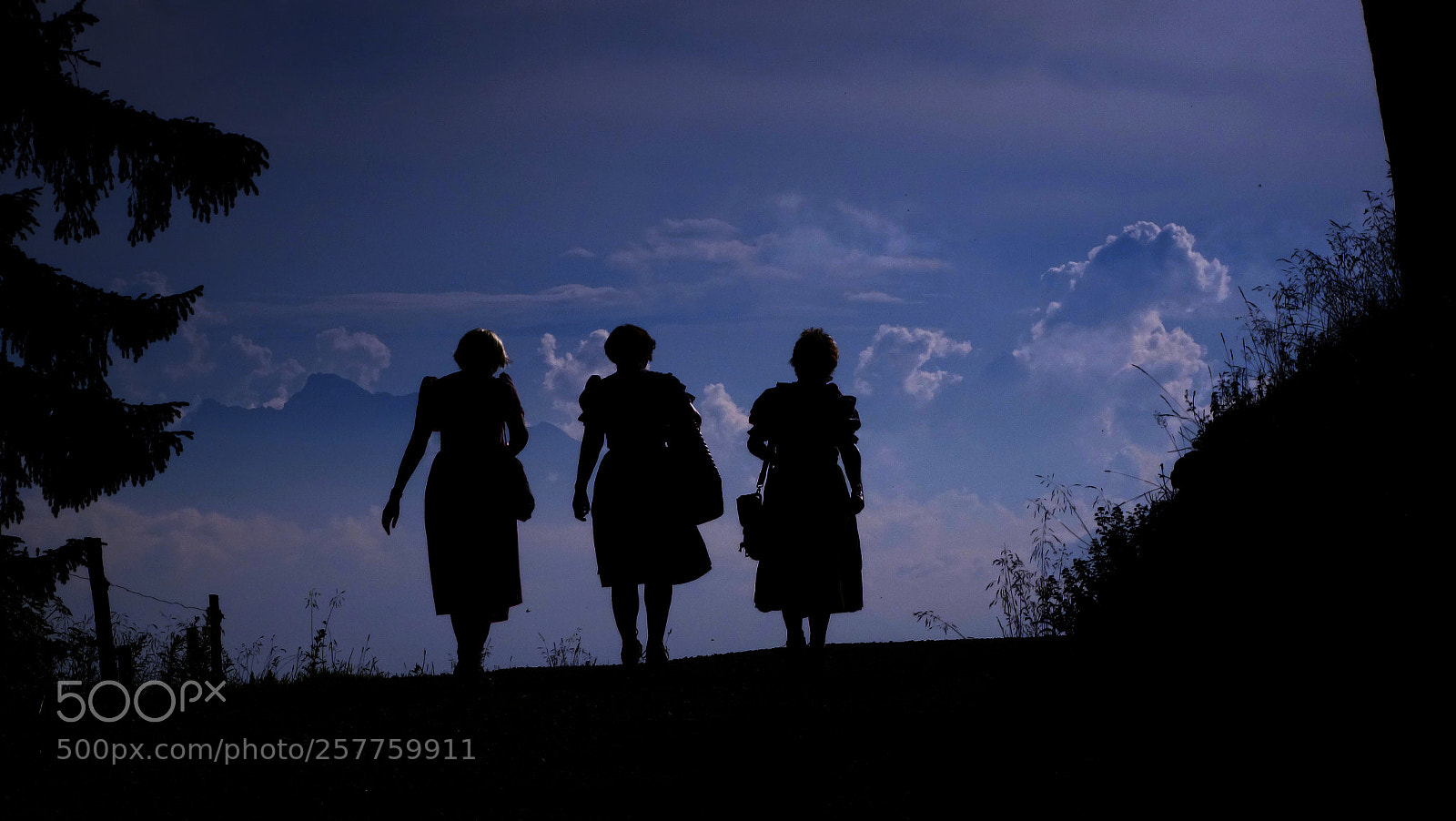Sony Cyber-shot DSC-HX300 sample photo. Scherenschnitt photography