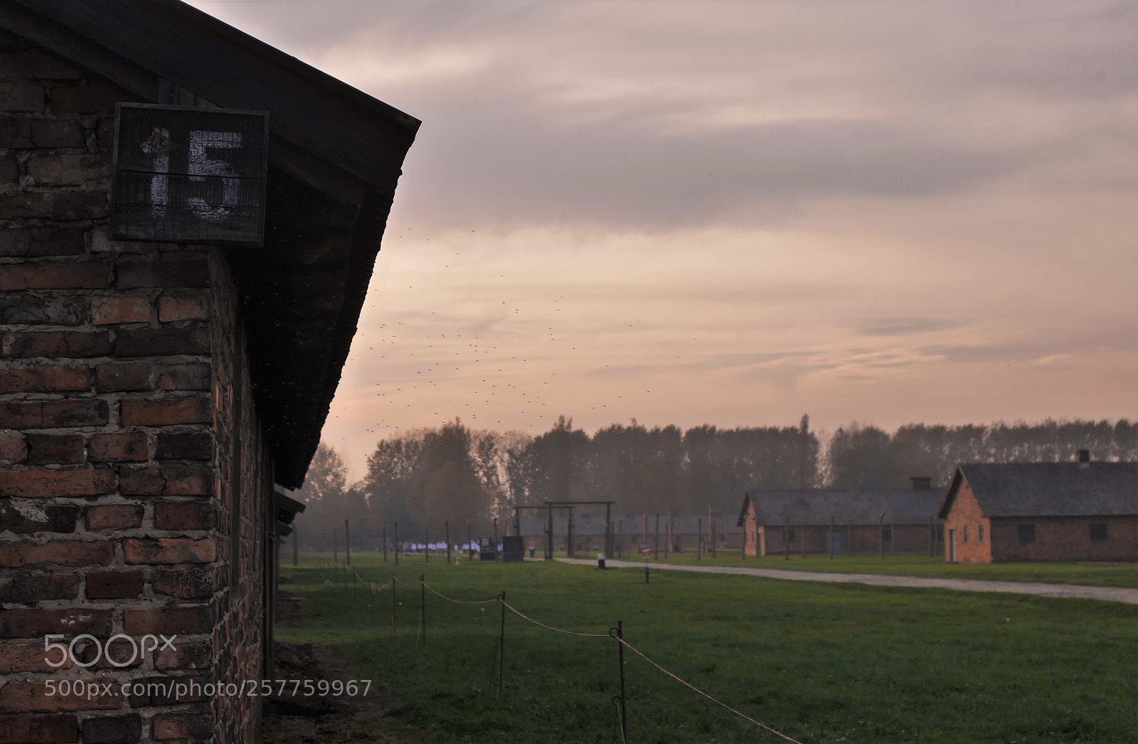 Panasonic Lumix DMC-GX7 sample photo. Dusk at birkenau photography