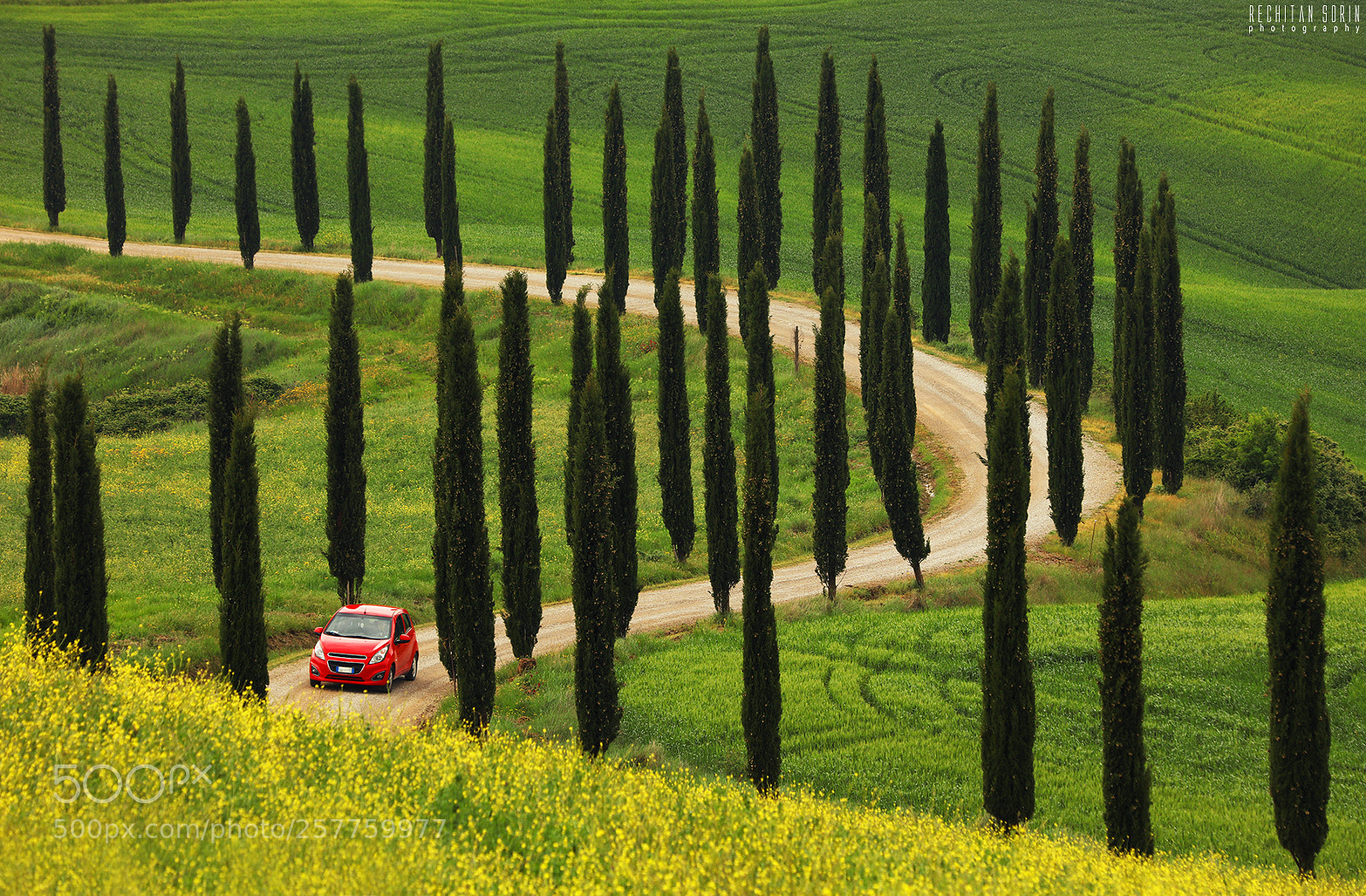 Canon EOS 5DS R sample photo. Tuscan curves photography