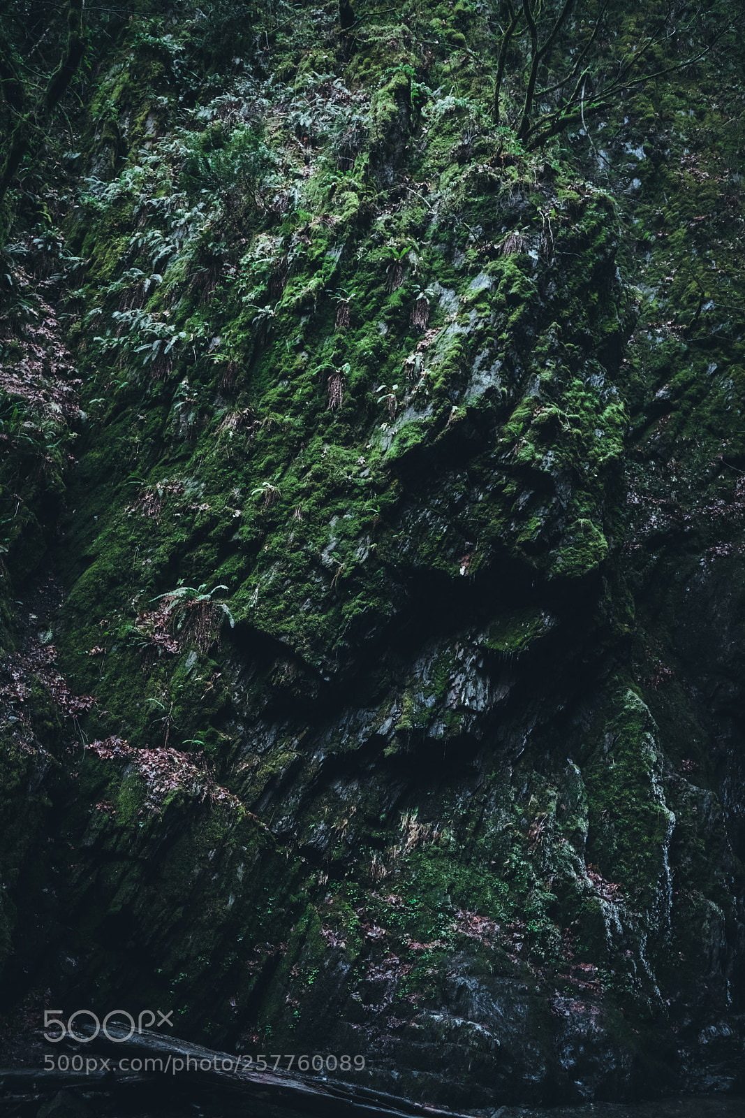Sony a7R II sample photo. Monuments photography