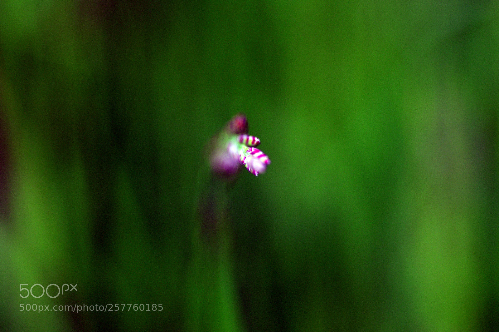Nikon D90 sample photo. Minimalisme minimum..... photography
