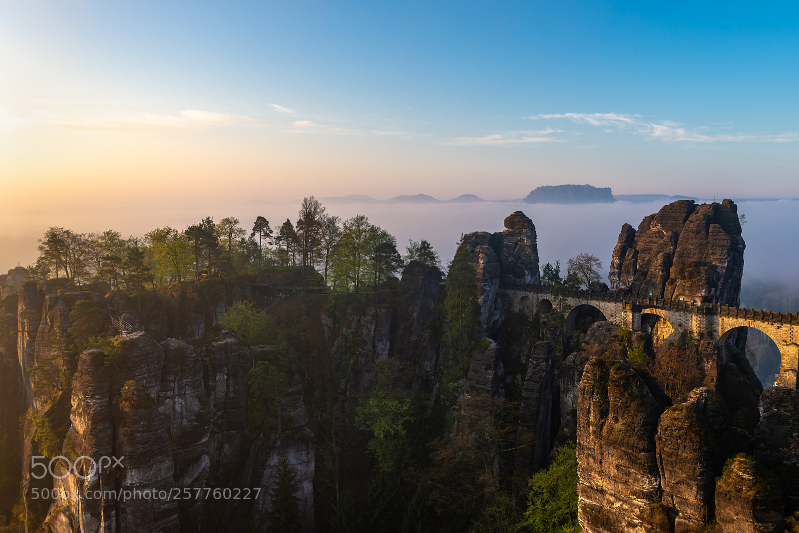 Nikon D610 sample photo. Bastei bridge at golden photography