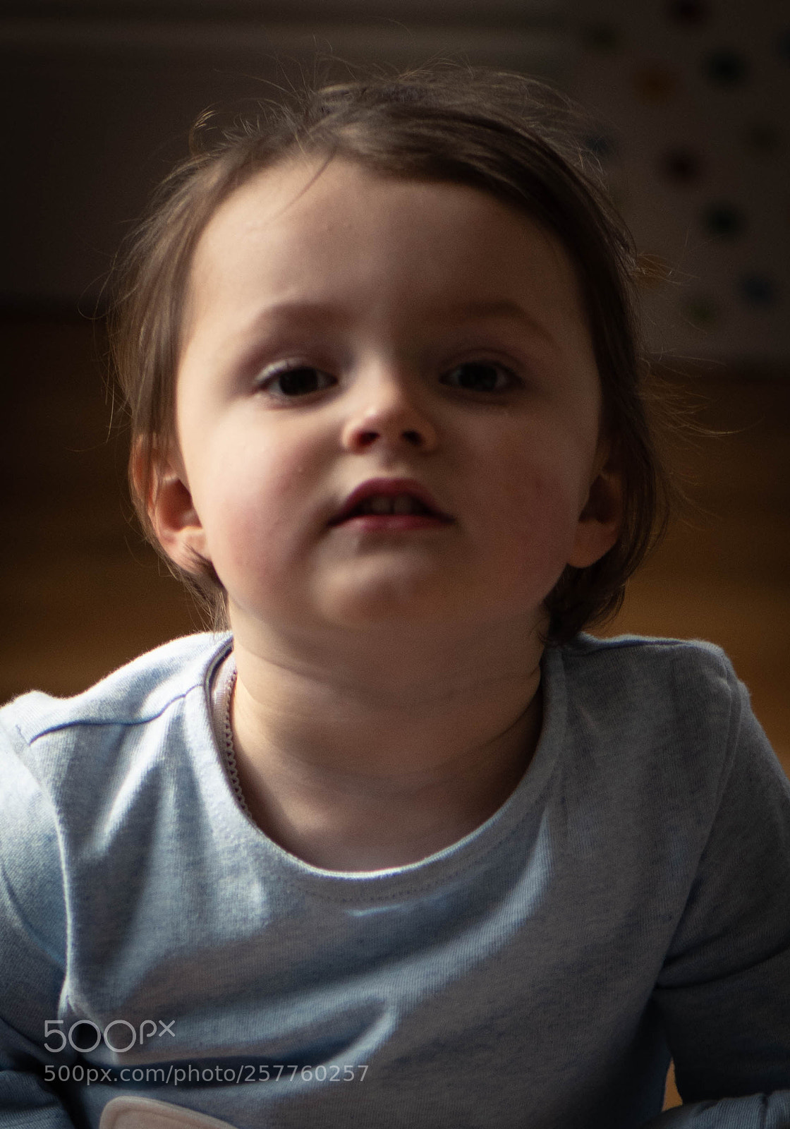 Nikon D850 sample photo. The madonna when young photography