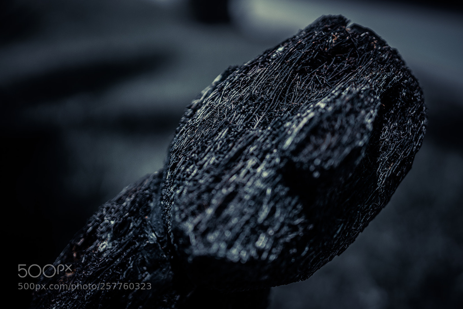 Sony a7R II sample photo. Nails photography