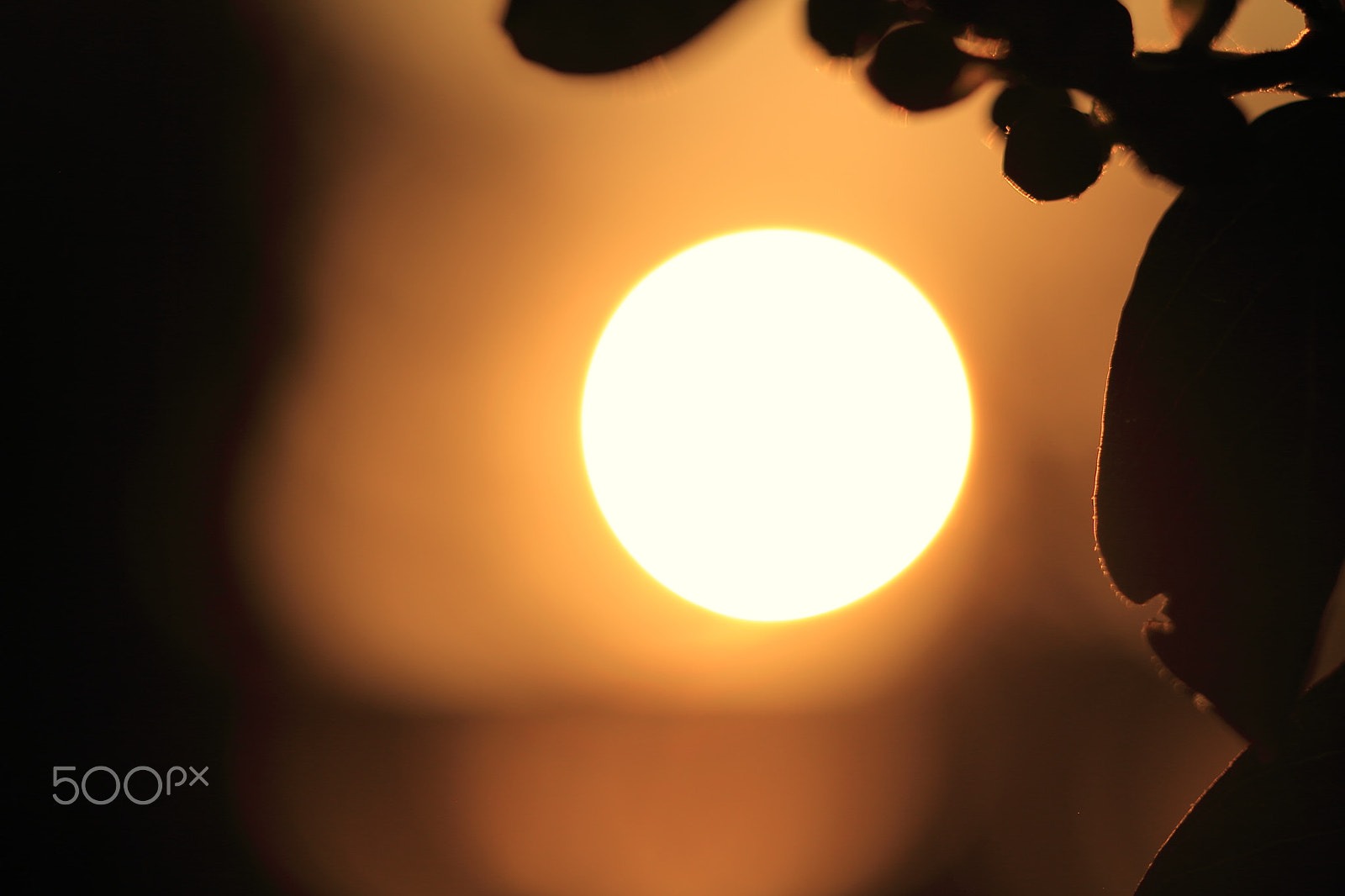 Canon EOS 7D + Canon EF 50mm F1.8 II sample photo. Sundown photography