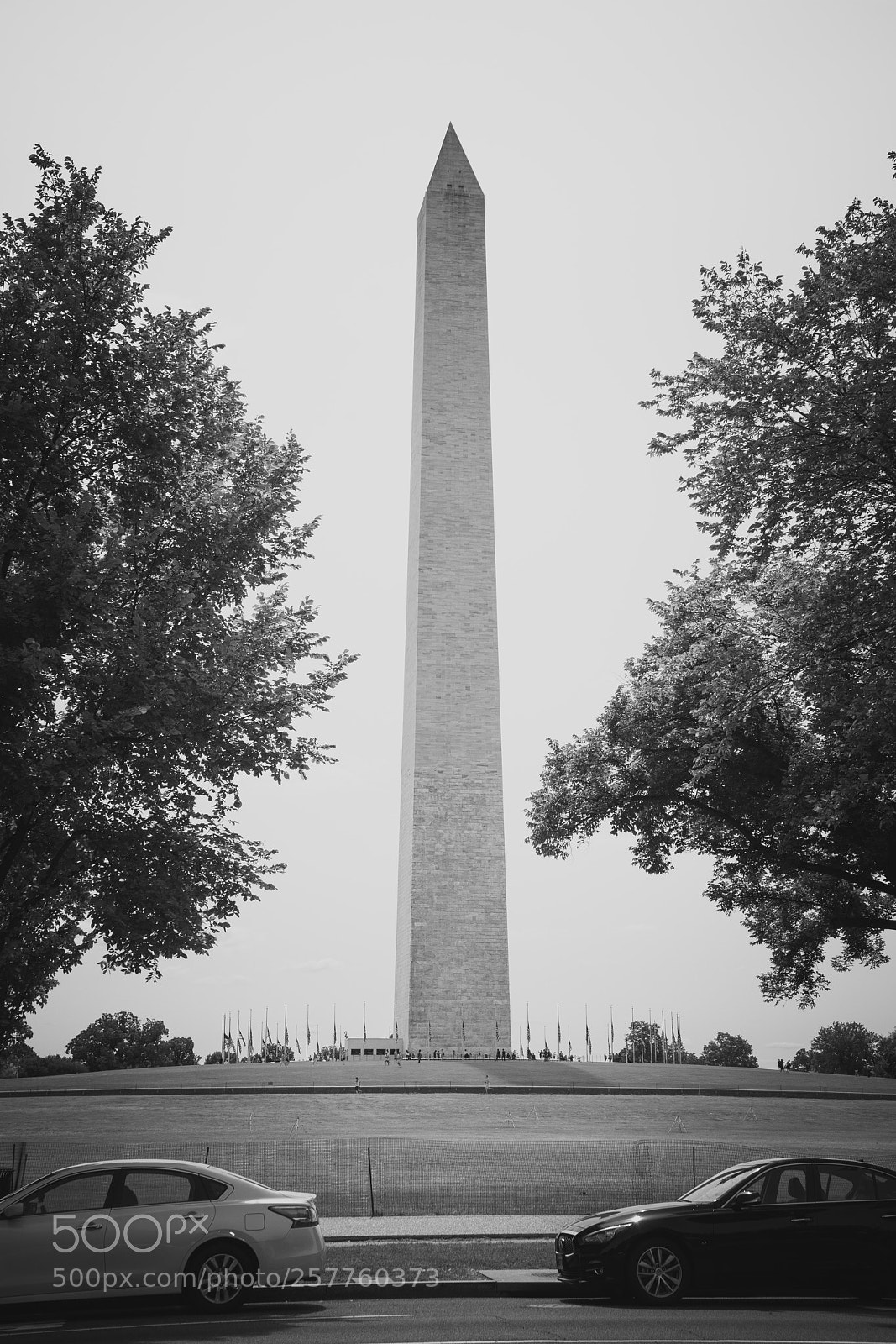 Sony a7R II sample photo. Washington photography