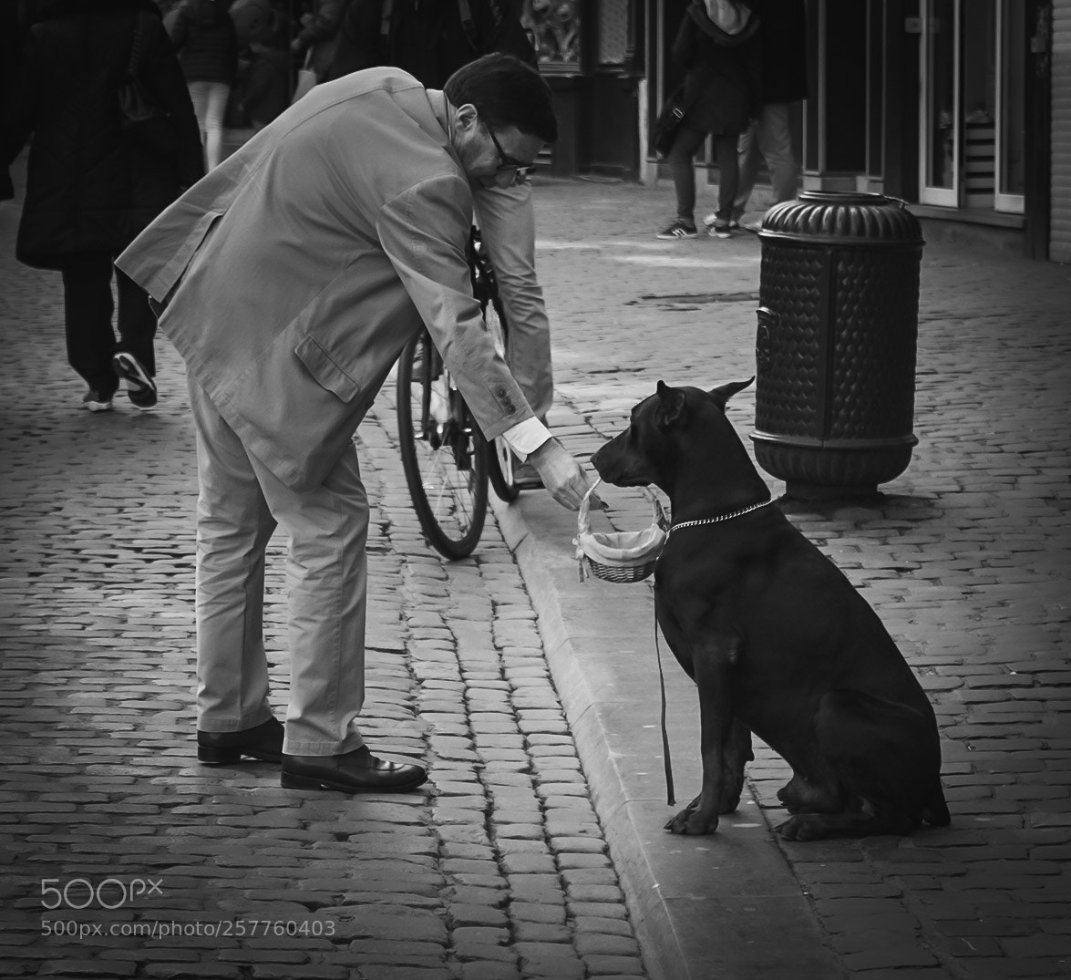 Sony a7 III sample photo. ....... photography