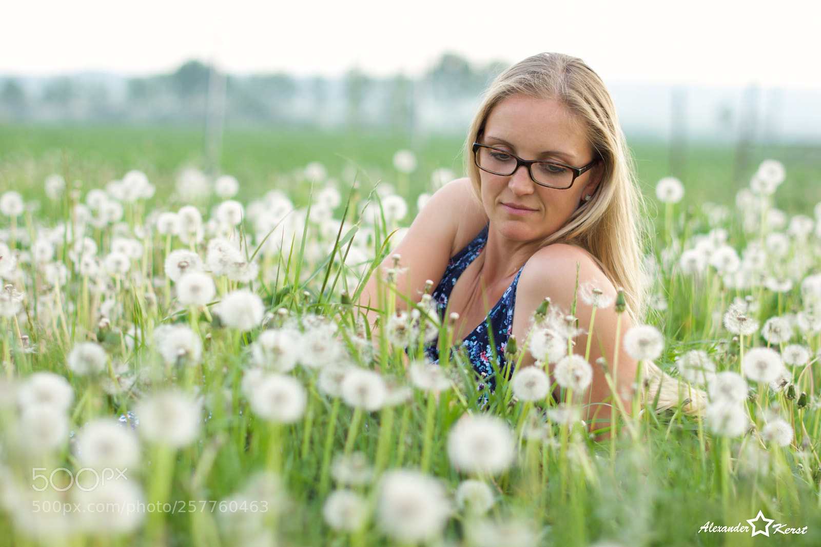 Nikon D7200 sample photo. Pusteblume photography