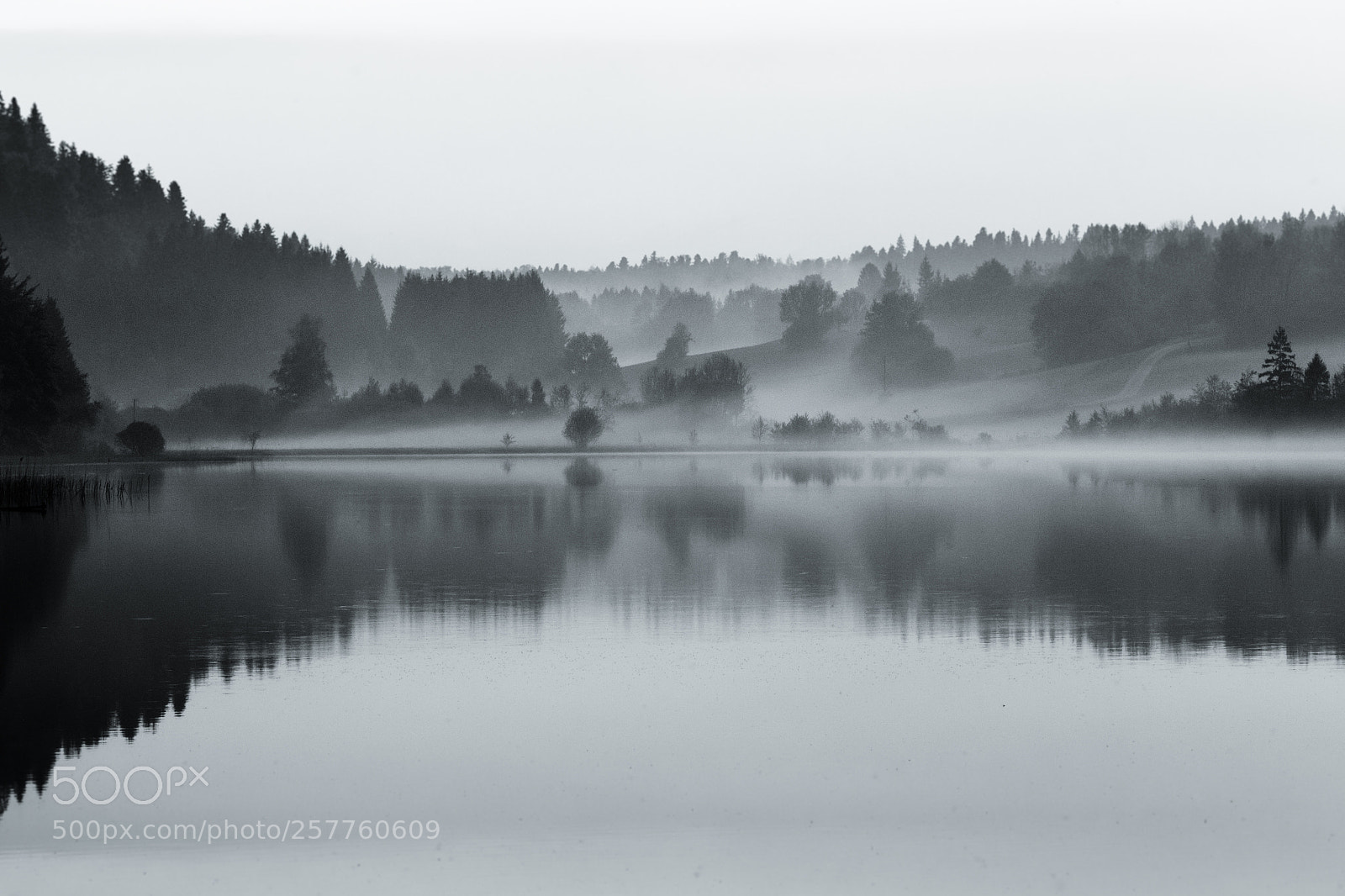 Canon EOS 6D sample photo. Lac d'etival, jura (mai 2018) photography