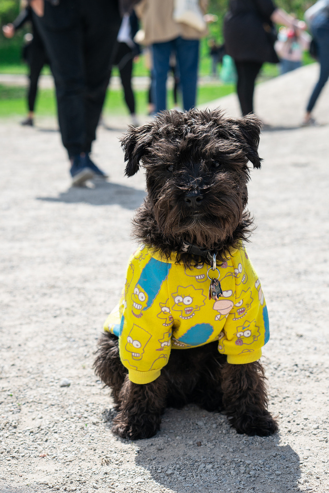 Sony a7R II sample photo. Bacon the doggers photography