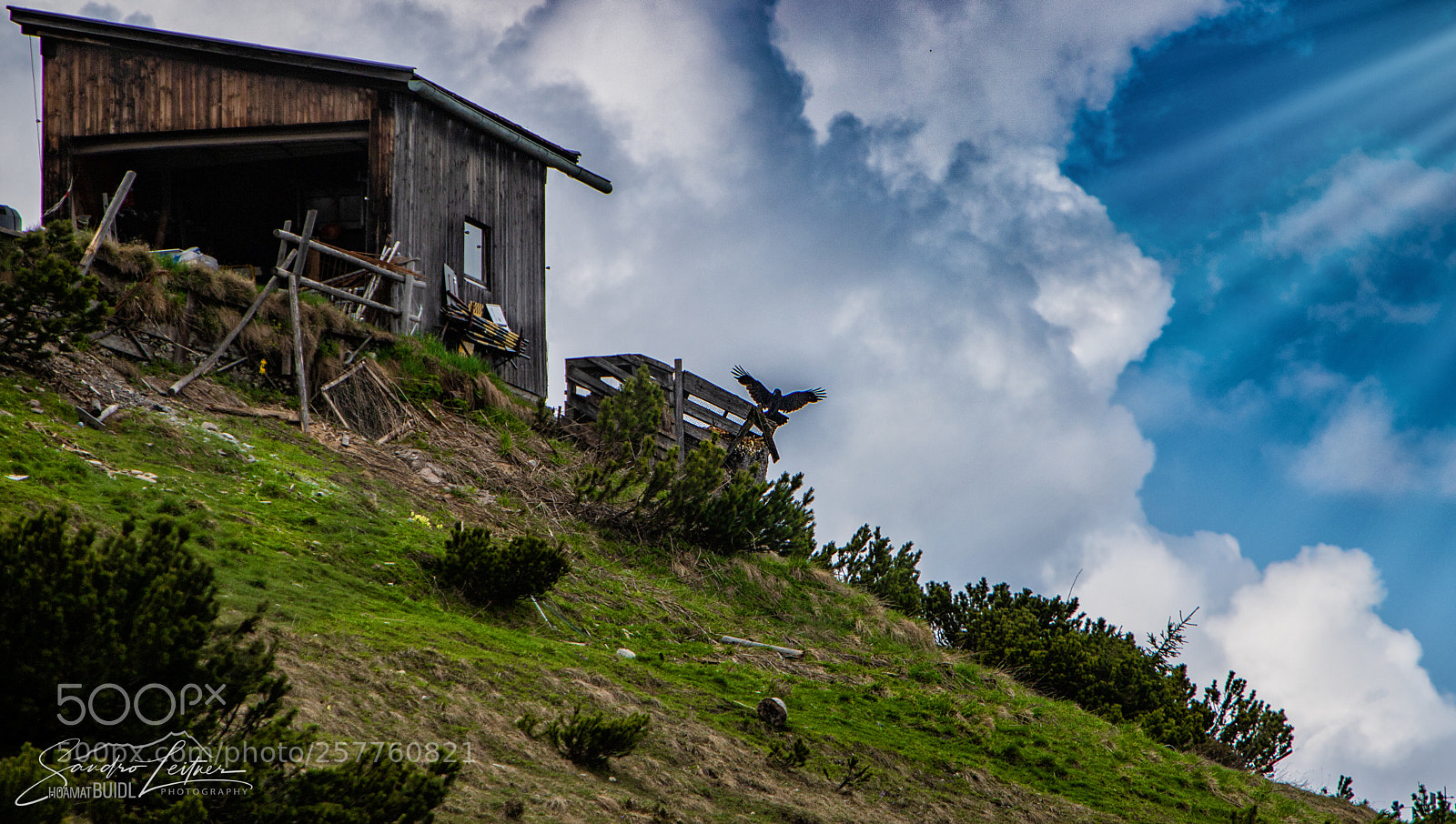 Canon EOS 6D Mark II sample photo. A h ttn im photography