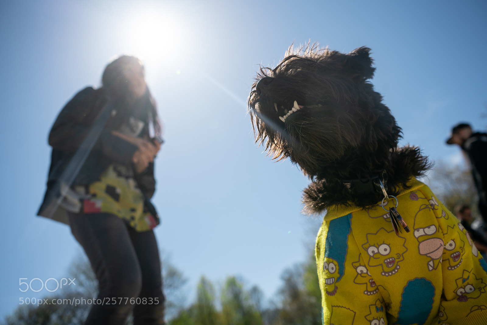 Sony a7R II sample photo. Bacon the doggers photography