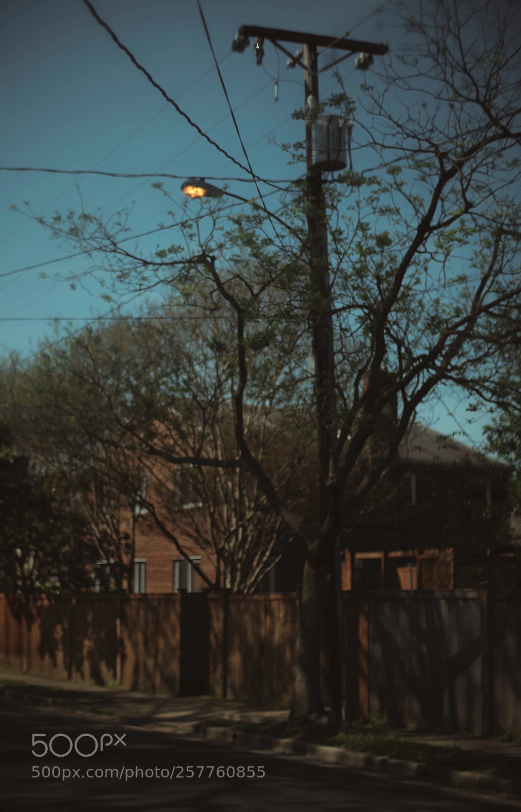 Fujifilm X-Pro2 sample photo. My neighborhood  photography