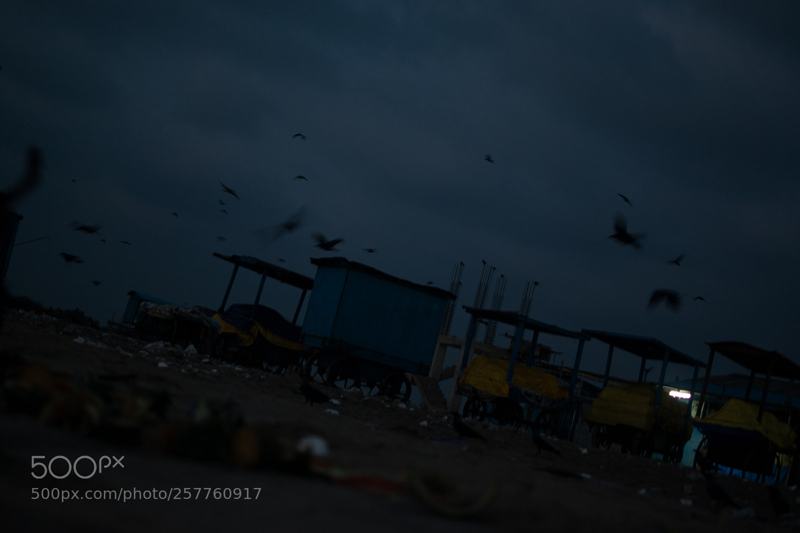 Nikon D3300 sample photo. Morning activities photography