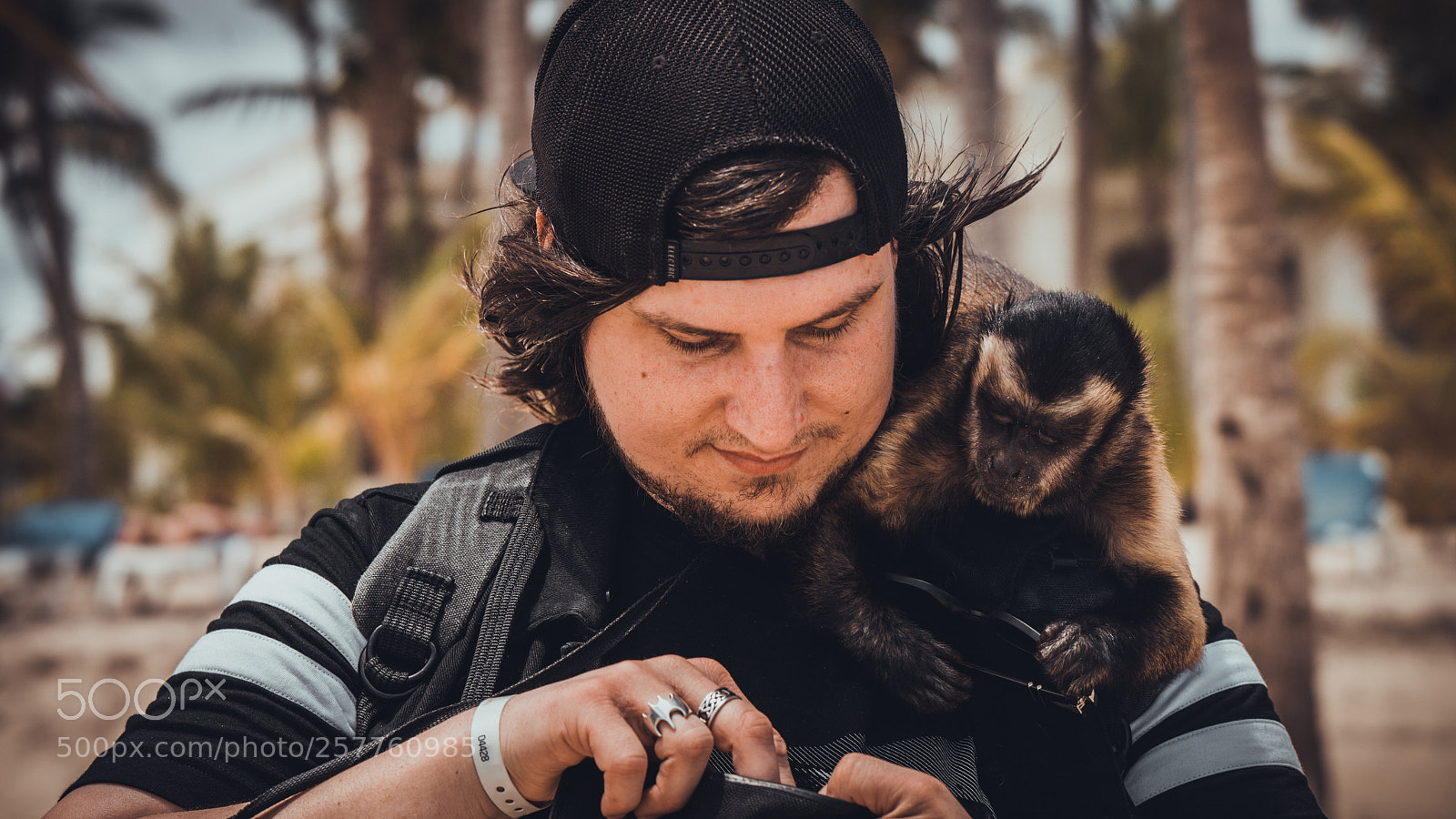 Sony a7R II sample photo. Ballin monkey photography
