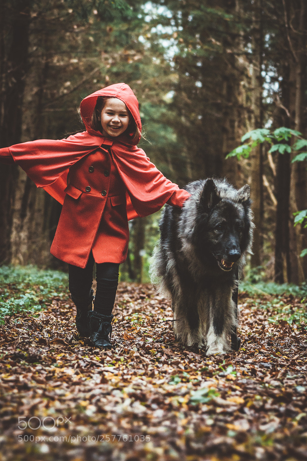 Sony a7R II sample photo. Riding hood photography