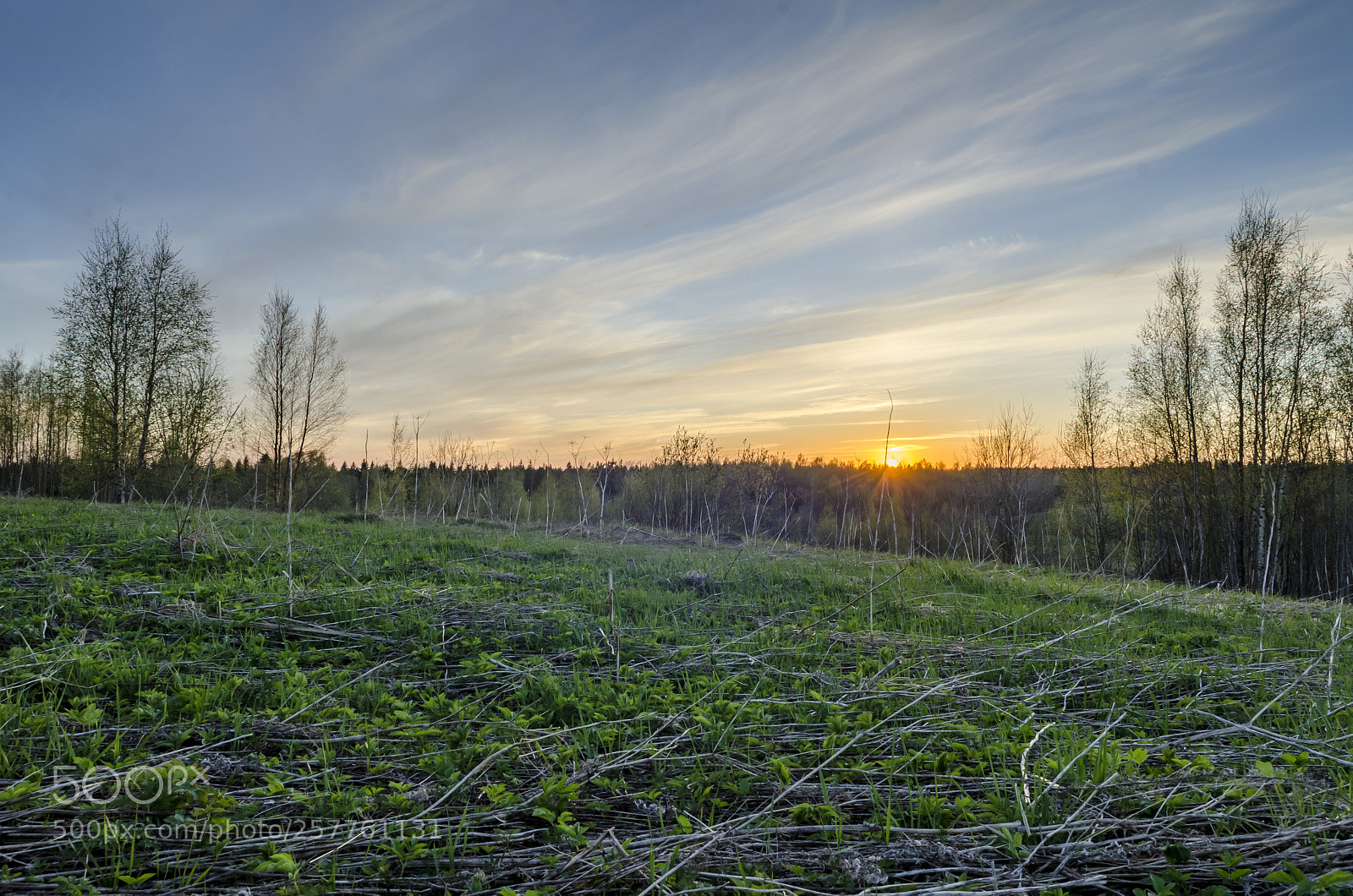 Nikon D7000 sample photo. Evening sky photography