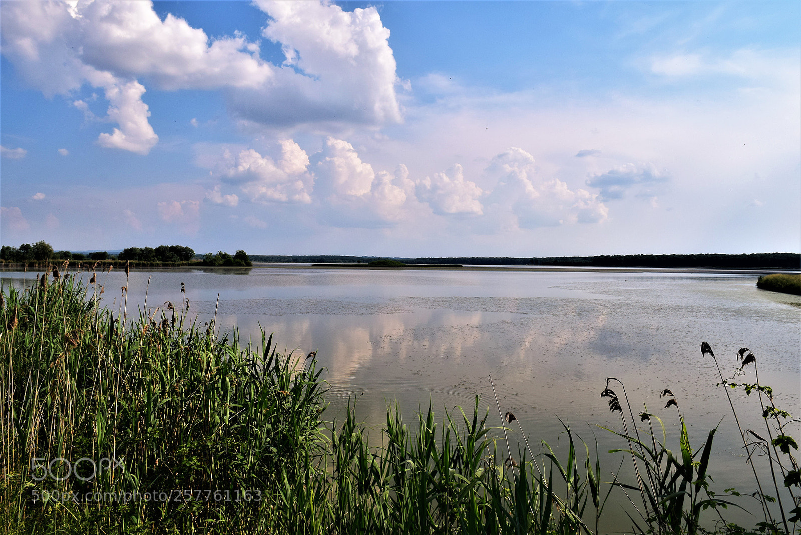 Nikon D3300 sample photo. Big pond photography